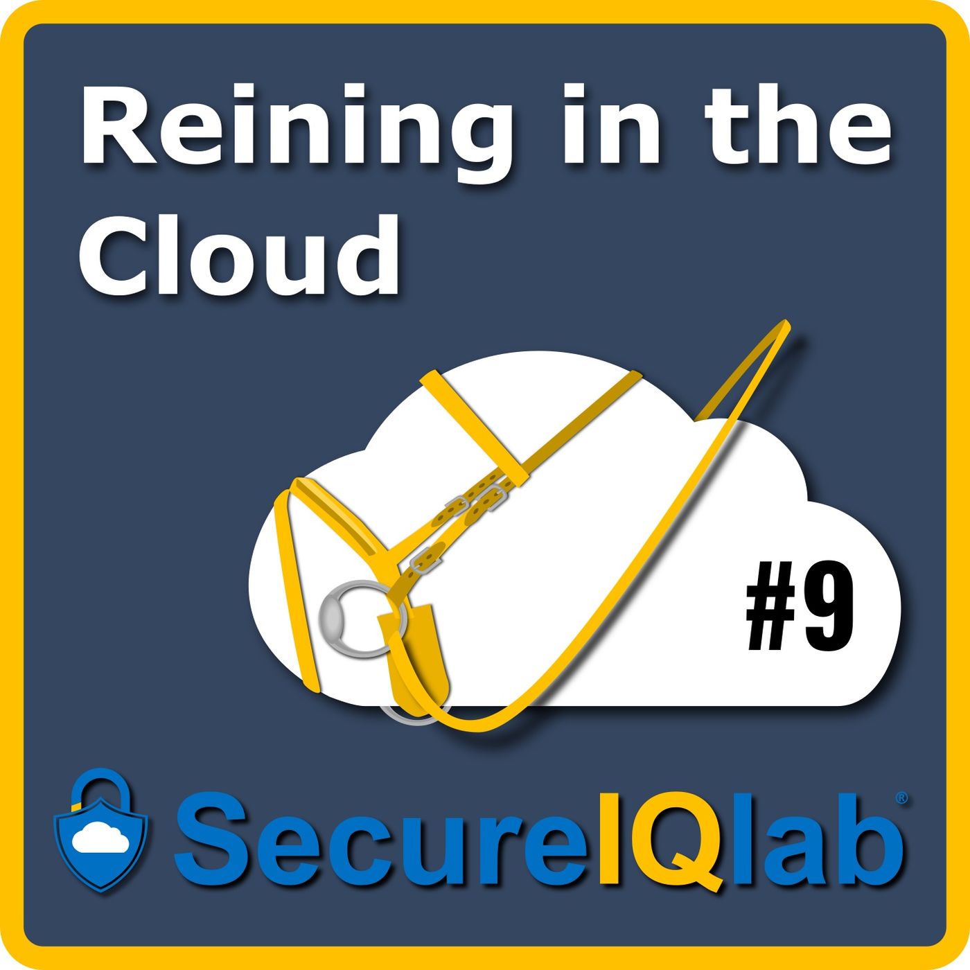 Reining in the Cloud