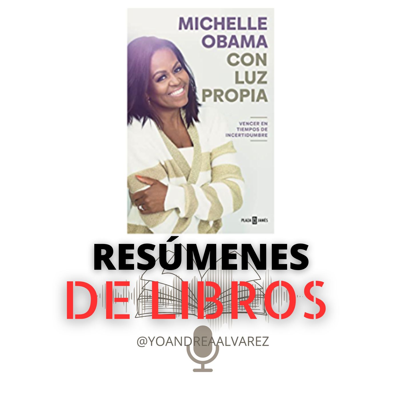 Resumen Libro: Con Luz Propia Michell Obama Parte 3