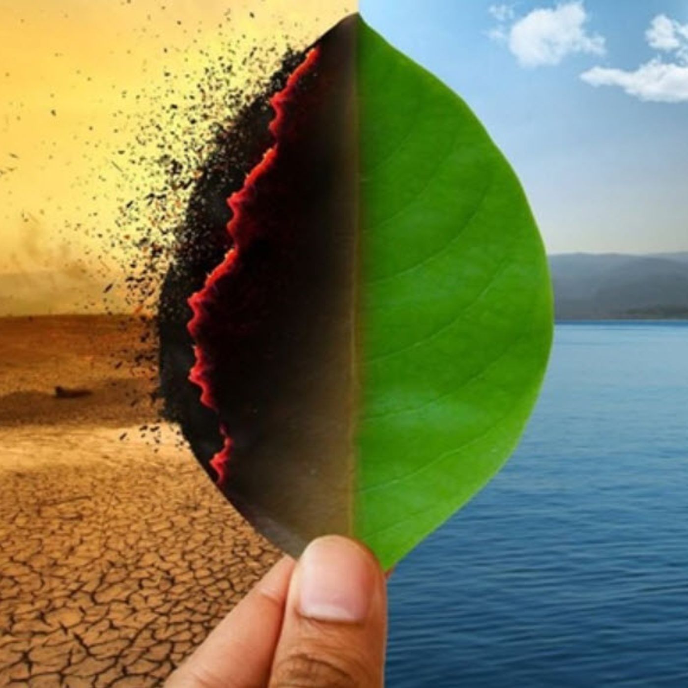 گزارش یک قتل در آخر یک خط