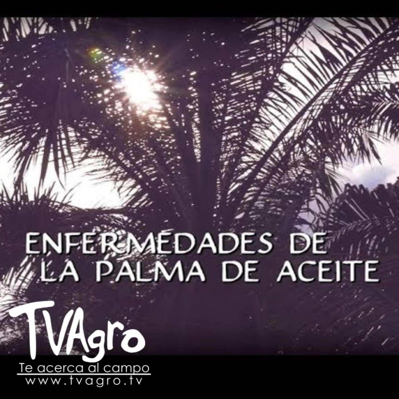 TV AGRO