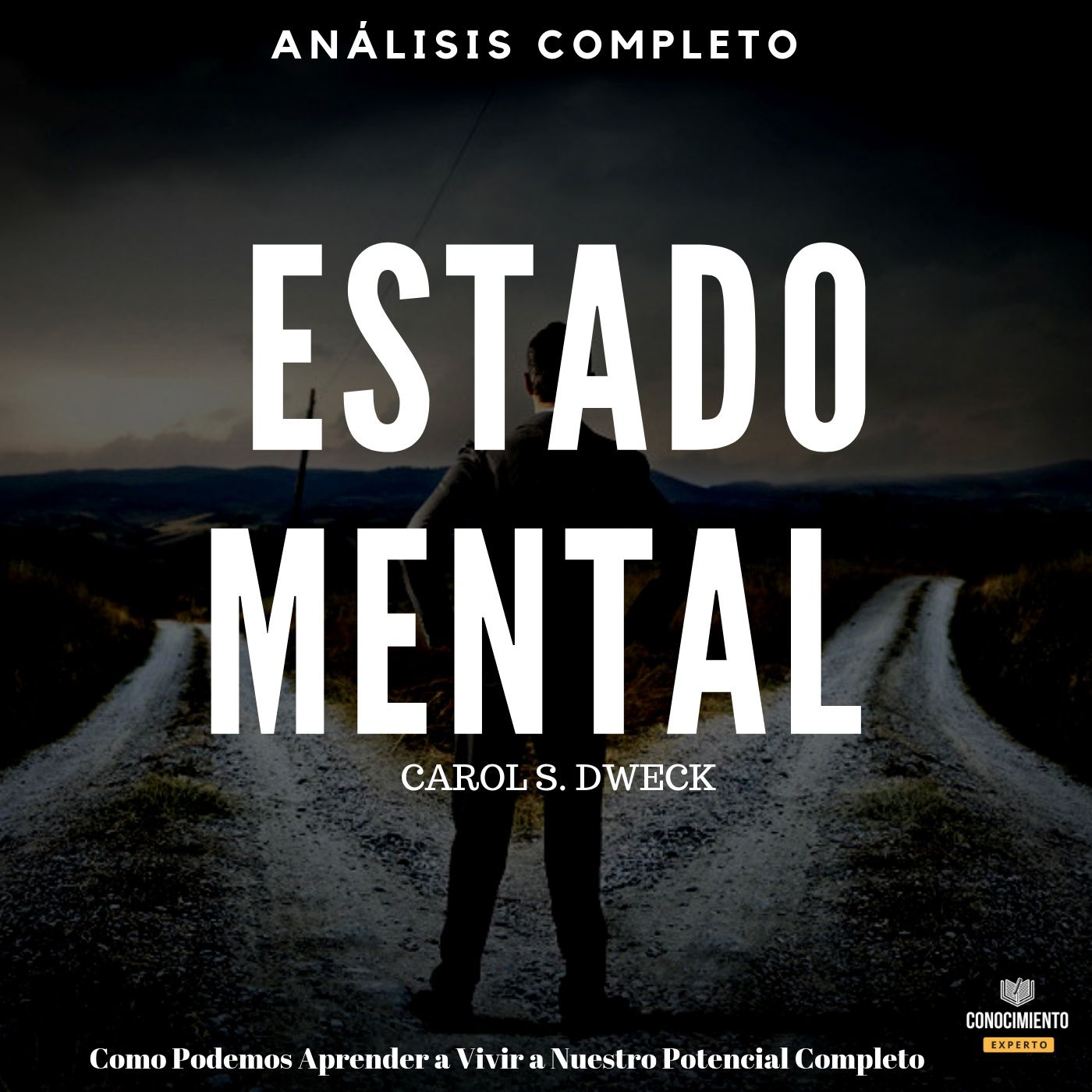 Conocimiento Experto