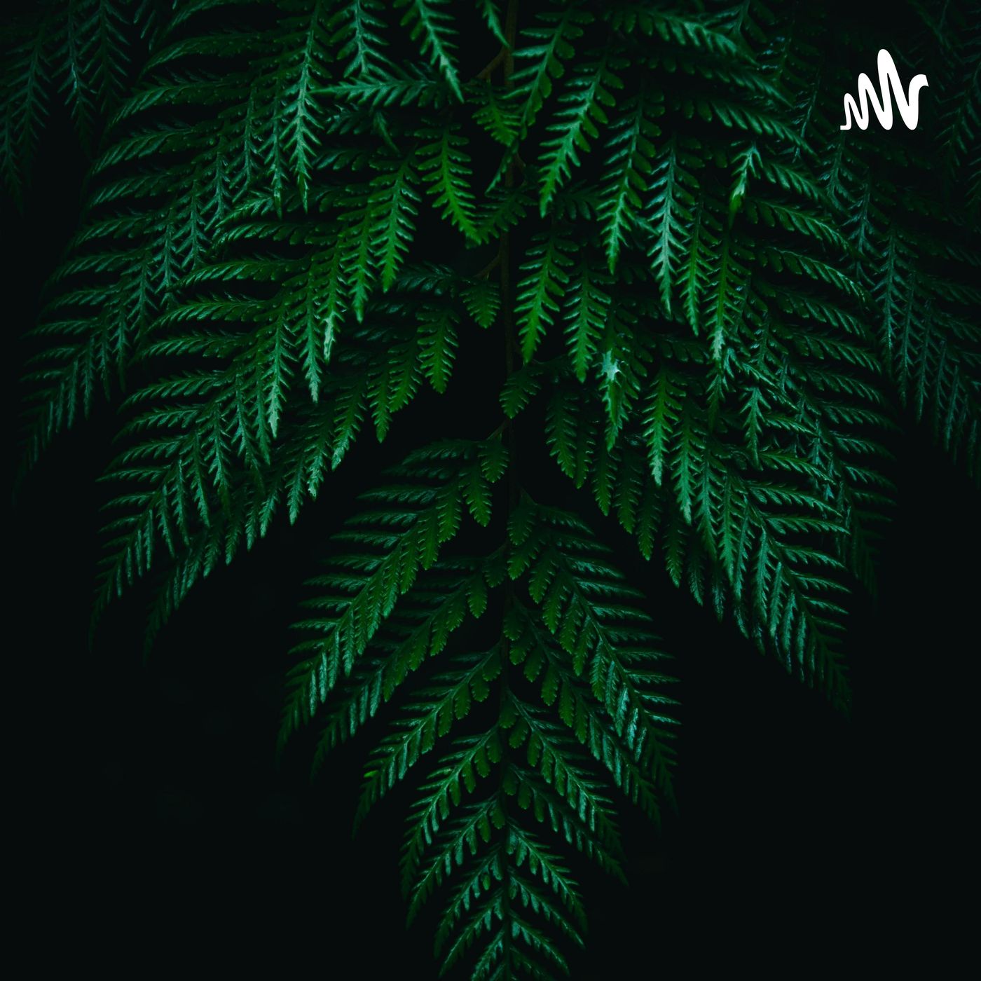 为你暖手的人还在吗