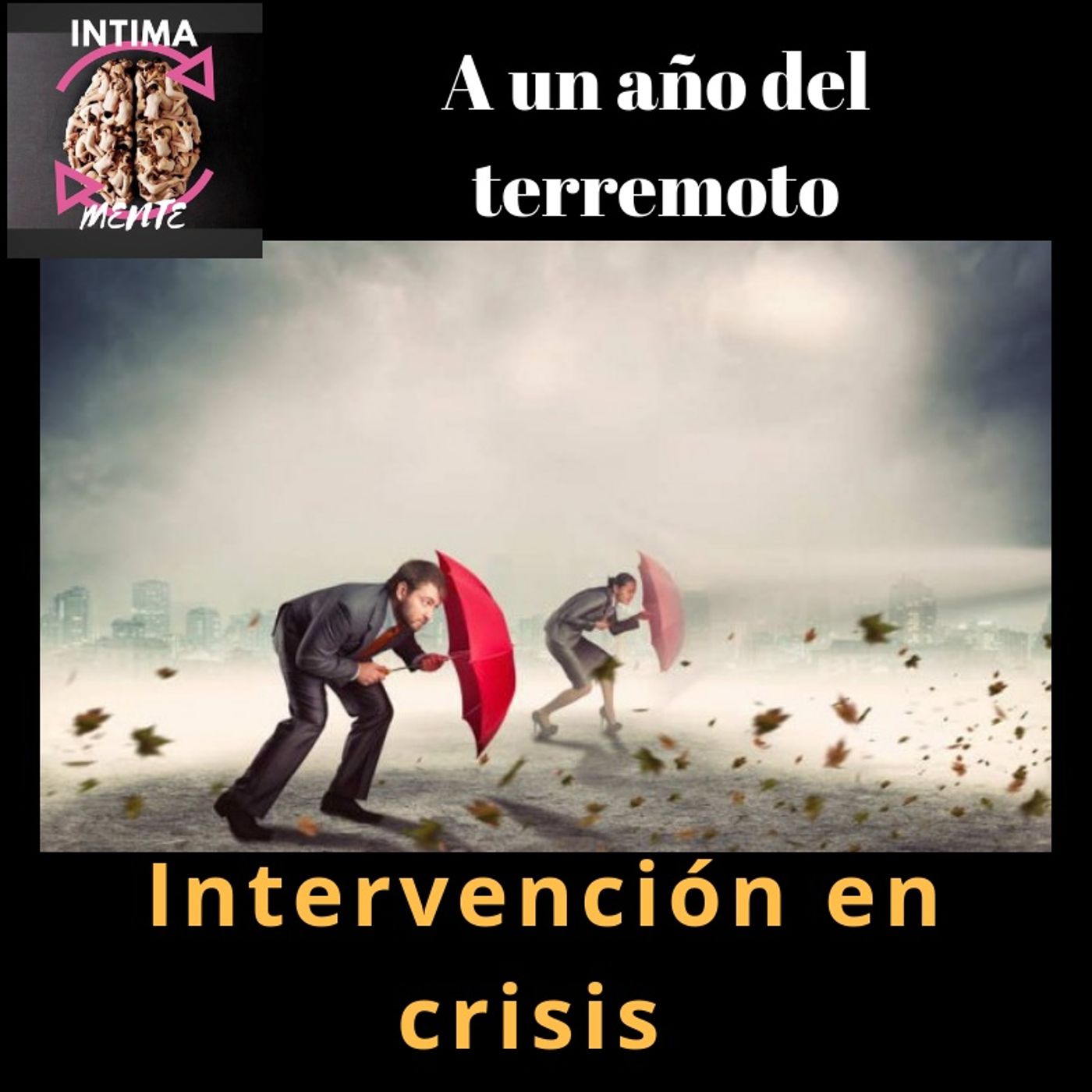 Intervención en crisis