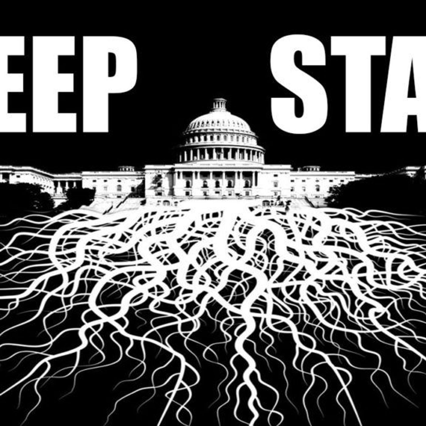 Episode 323 - Trump backs down on FISA declassification episode artwork