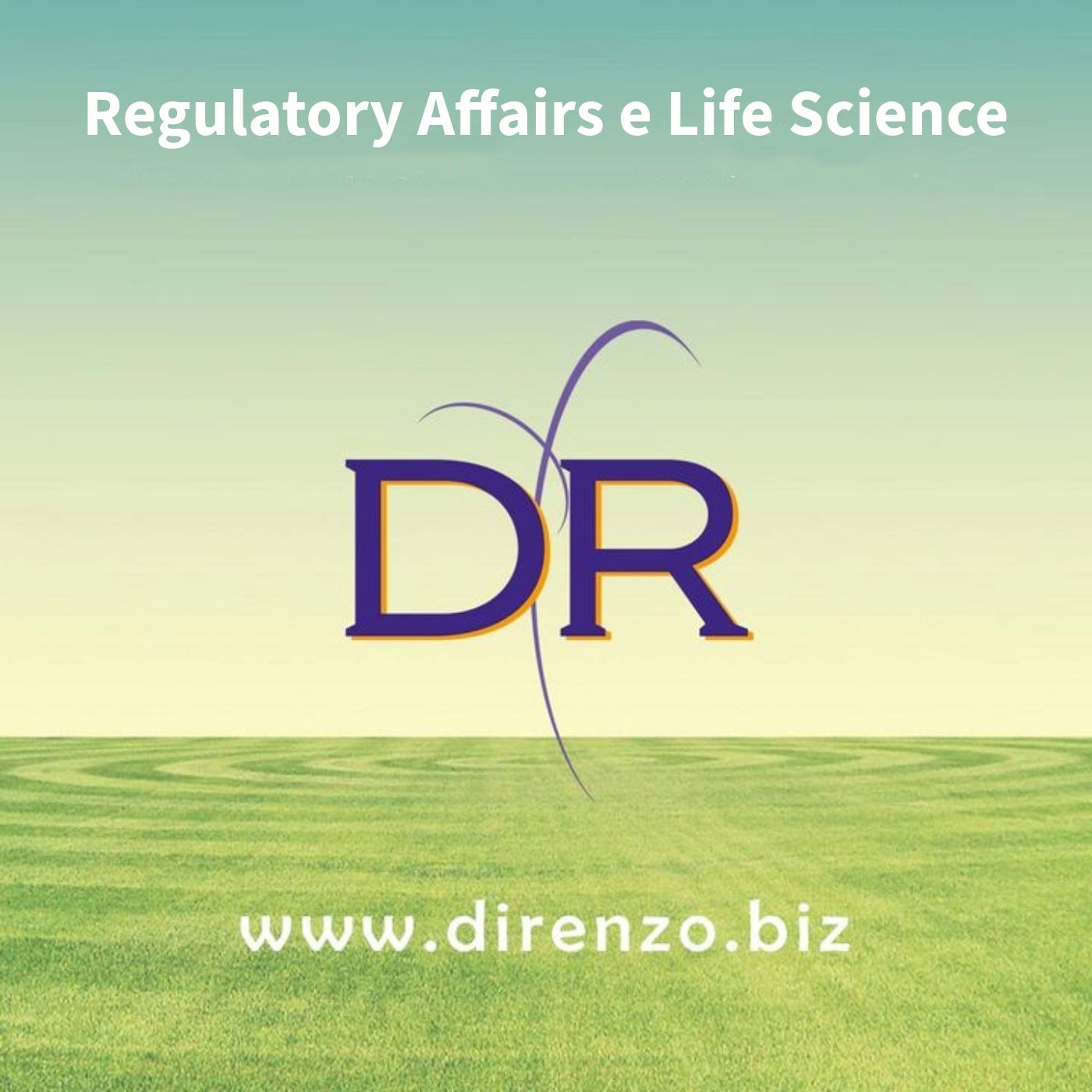 Regulatory Affairs & Life Science: Authorisation for the organisation of Pharmaceutical Conferences and Meetings