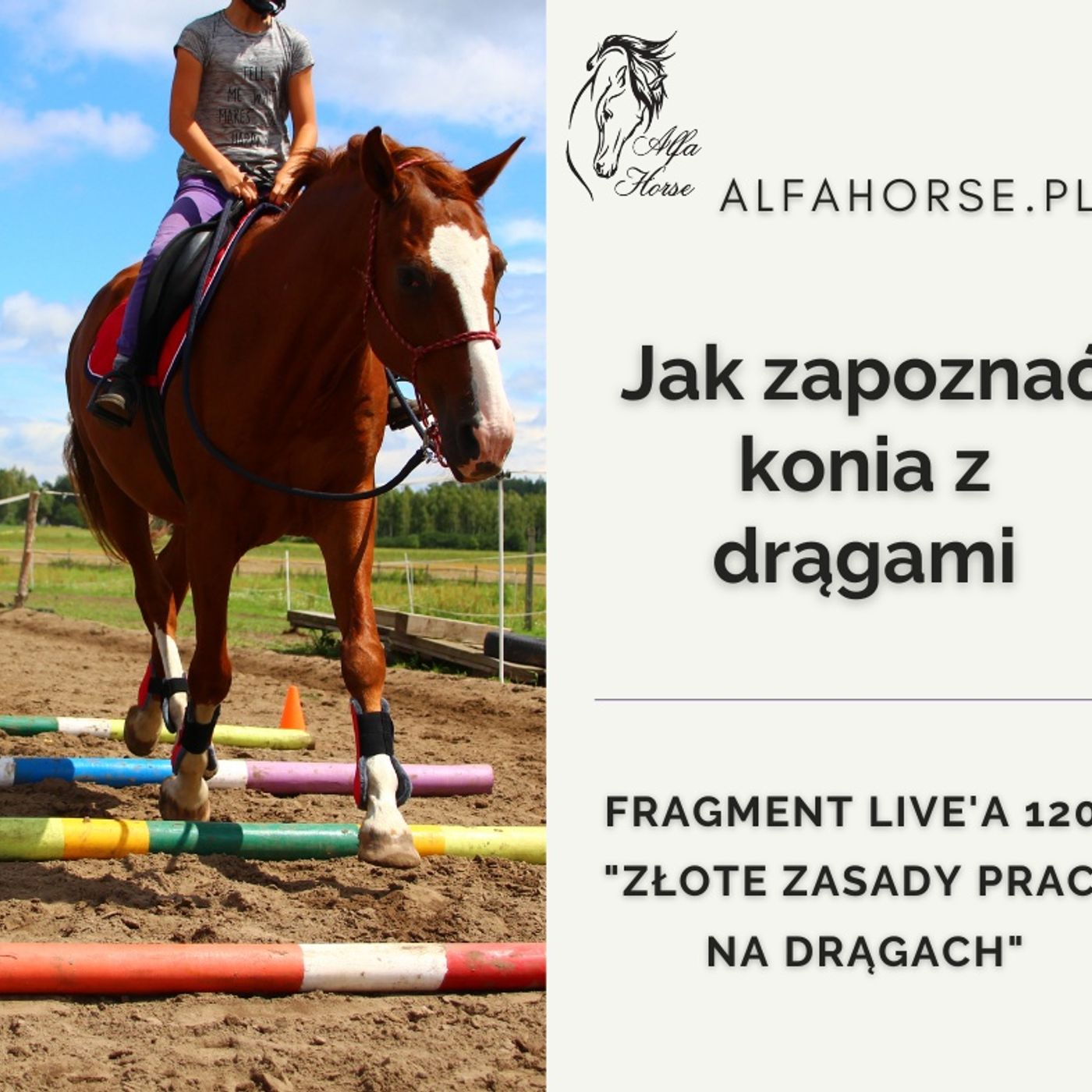 Jak zapoznać konia z drągami - fragment Live 120