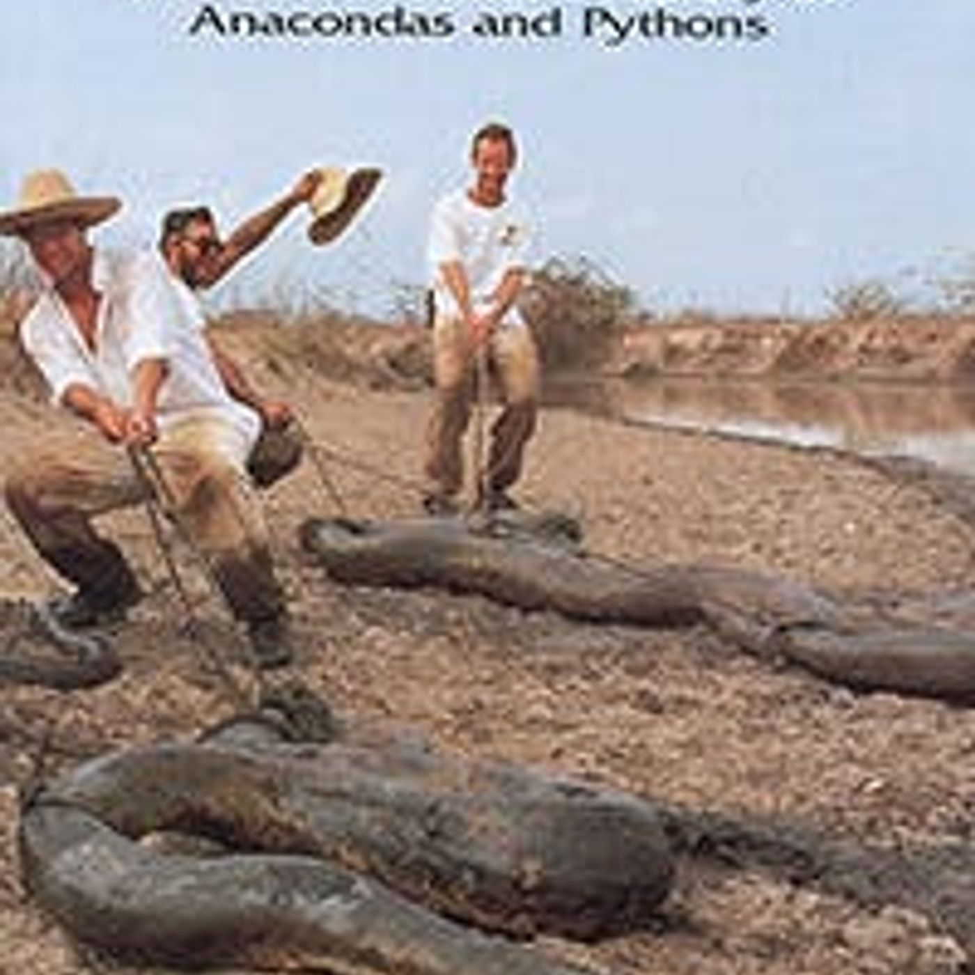 A Serpent's Tale