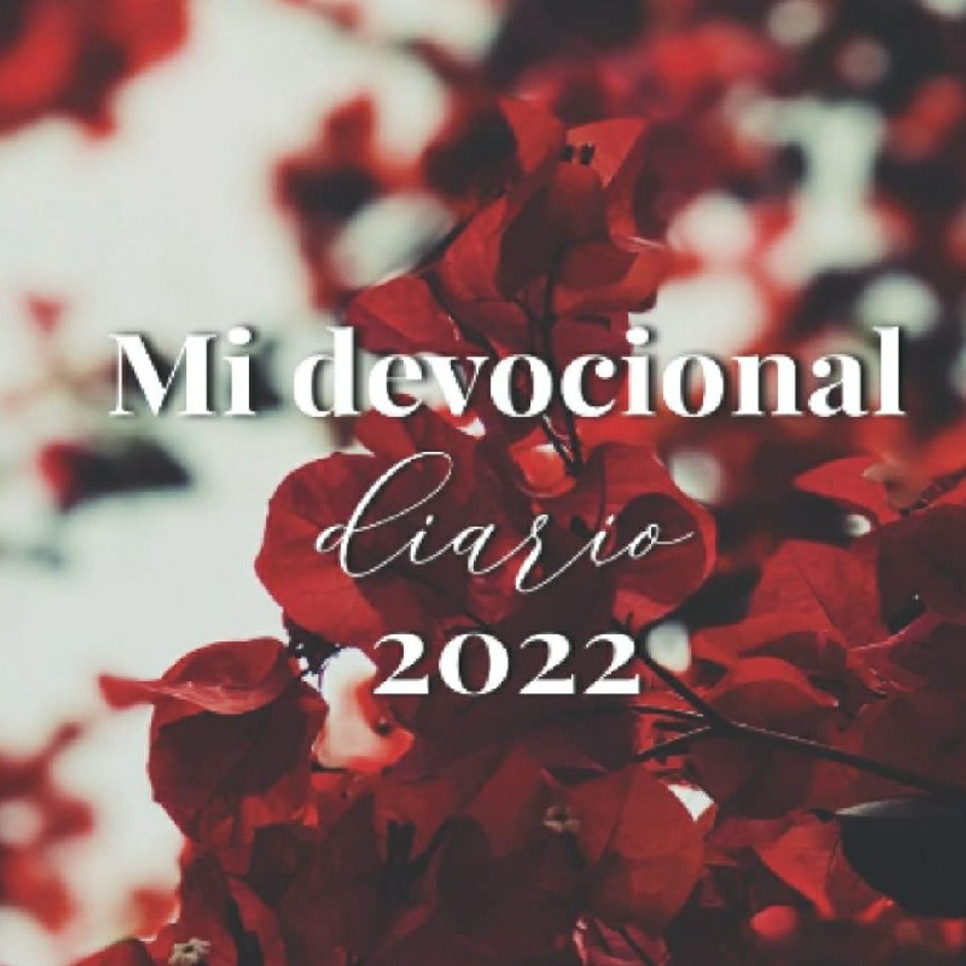 Radio Cristiana