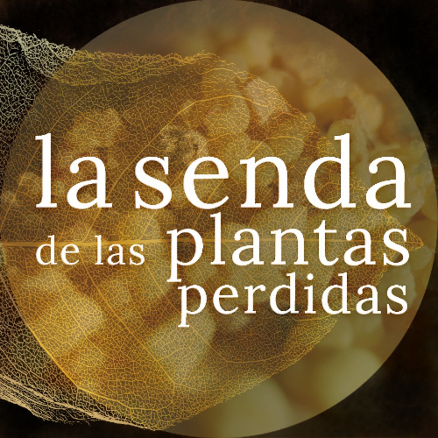 La Senda de las Plantas Perdidas