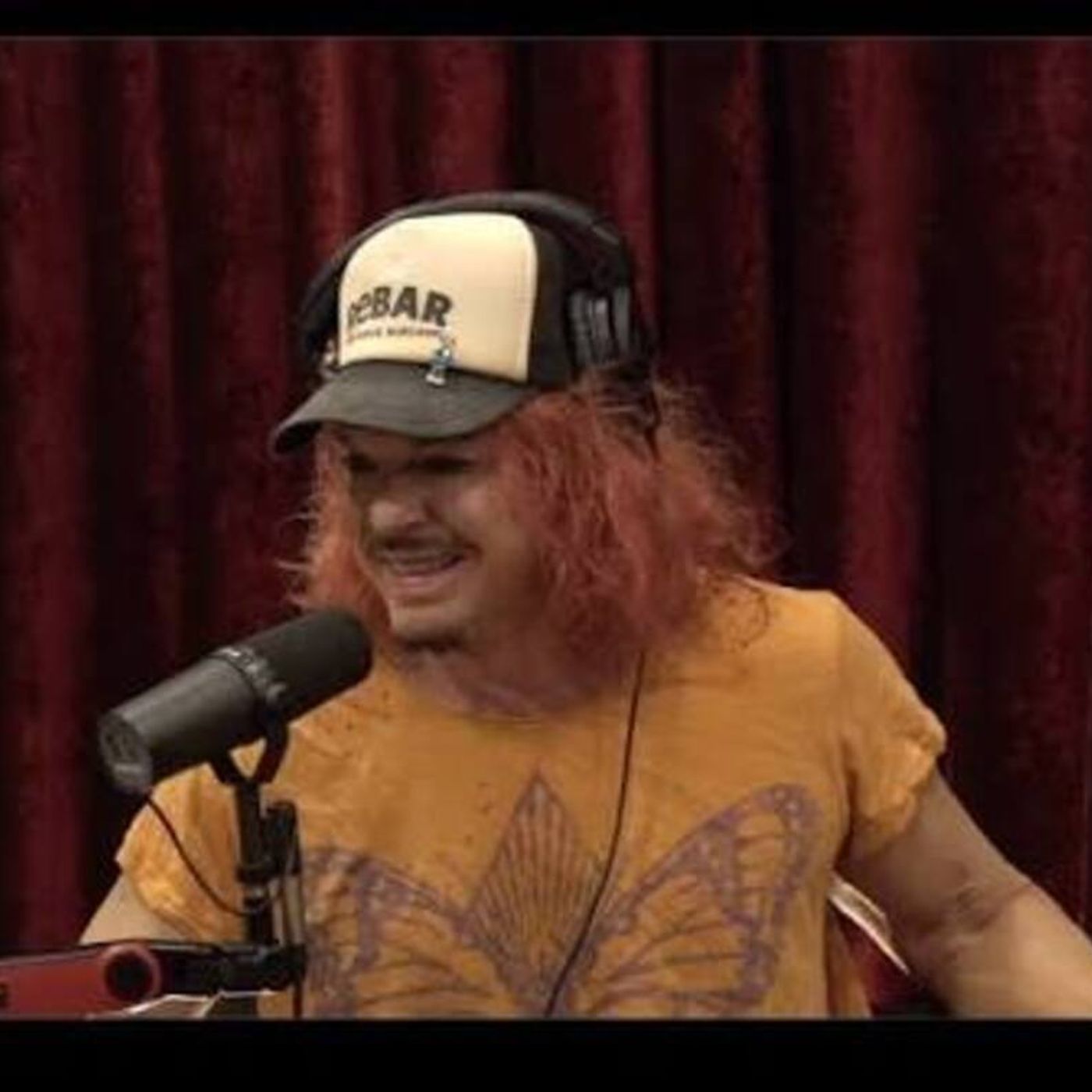 Joe Rogan Experience _2377 - Carrot Top(M4A_128K)