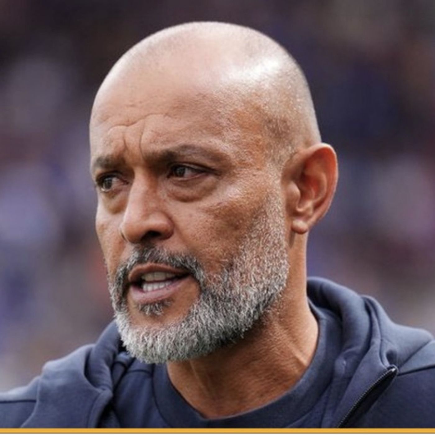 The Football Referee