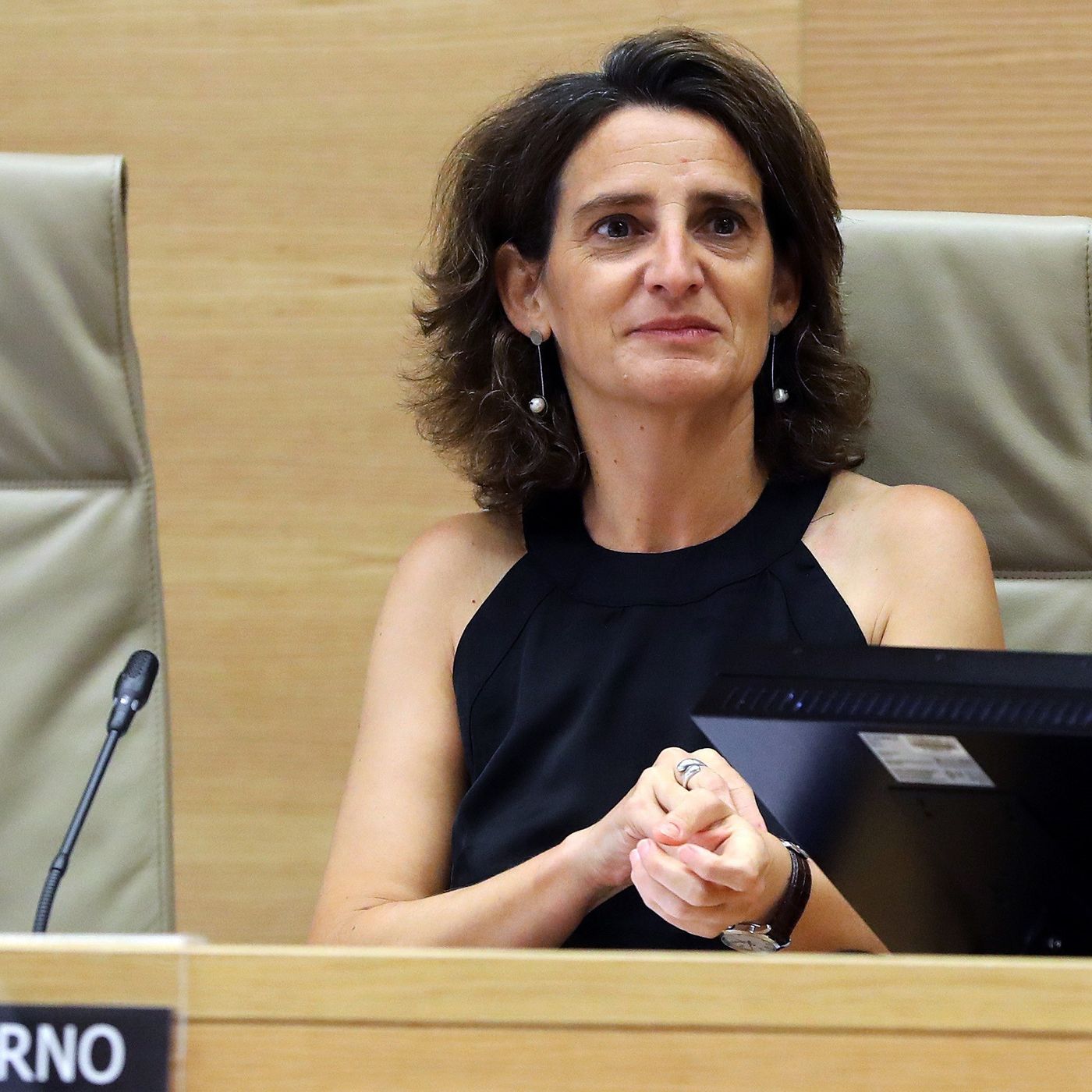 La senadora del PP que desmonta la trama de Forestalia y la implicación del ministerio de Ribera: "Es grave"