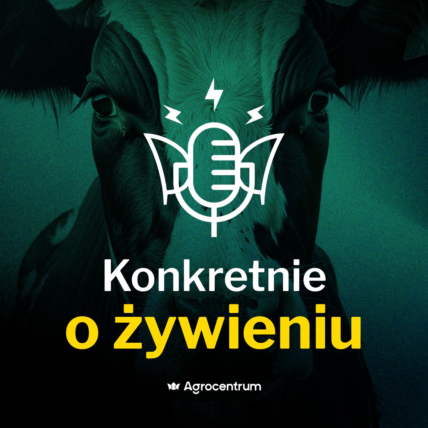 Konkretnie o żywieniu cover art