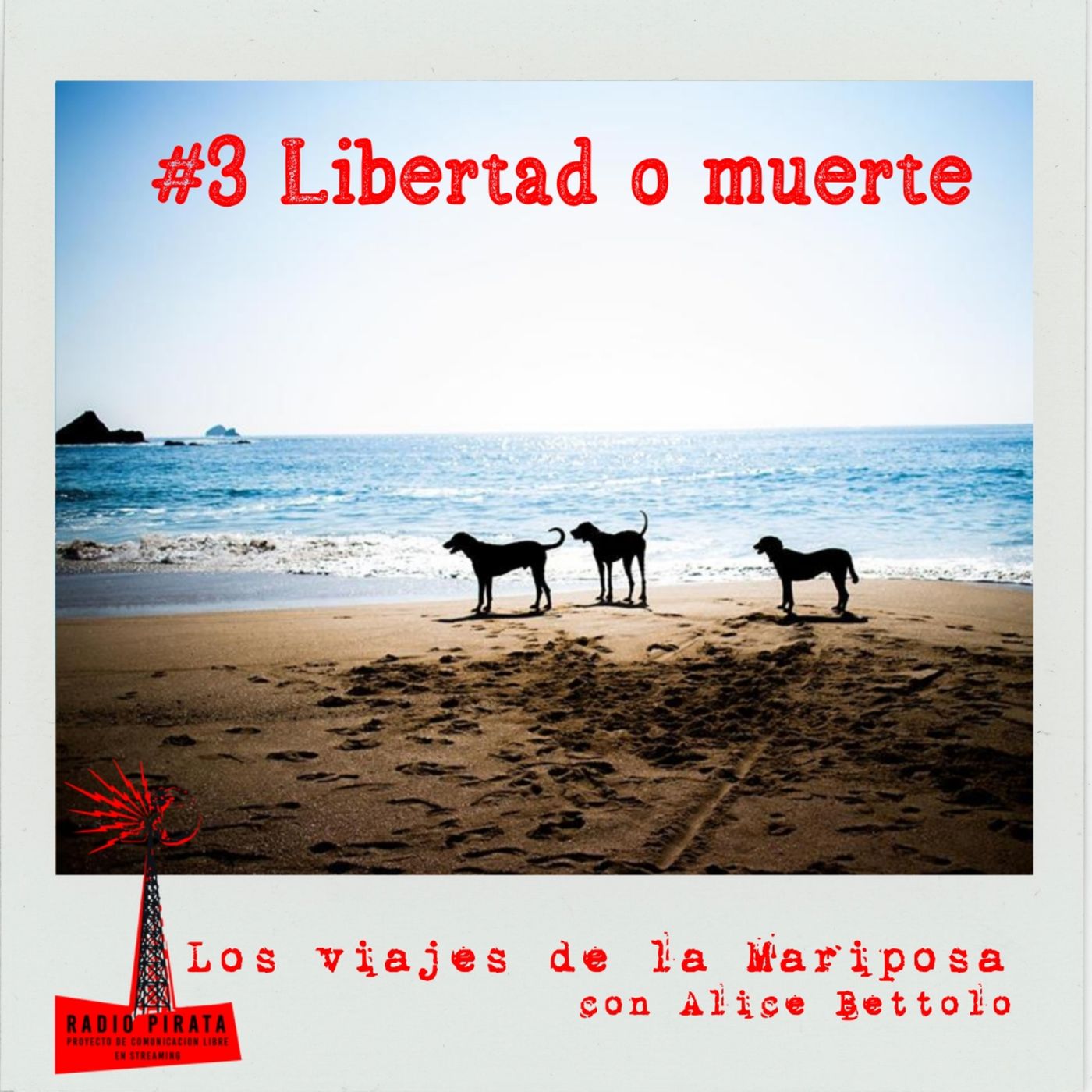 La Radio Pirata - Alice Bettolo