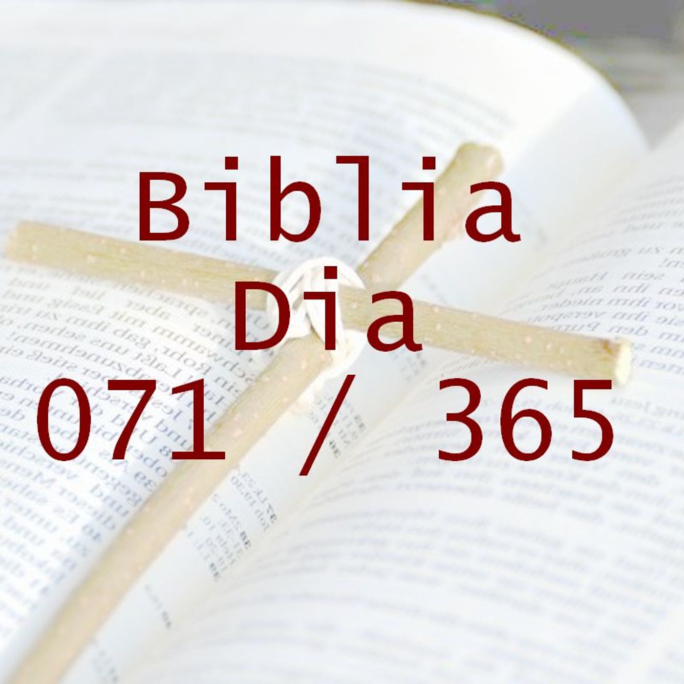 La Biblia en 365 dias