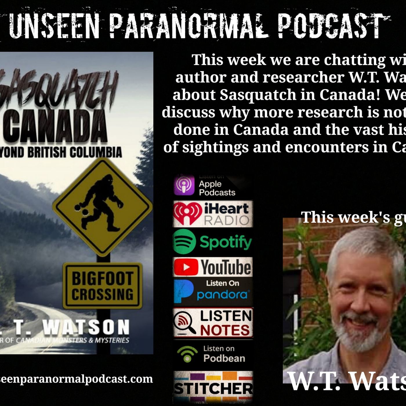 The Unseen Paranormal Podcast