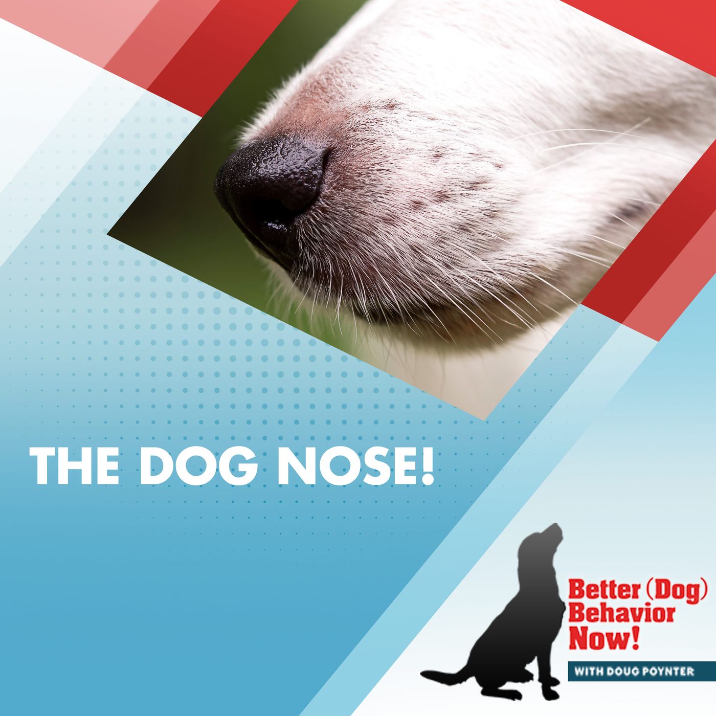 The Dog Nose! episode artwork