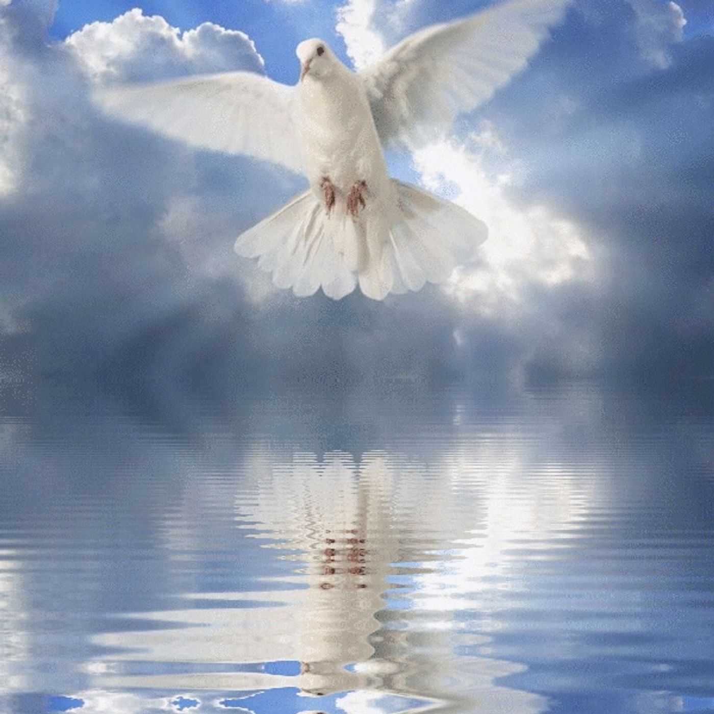 R.A.N.T. for Life - Real Anointed Needed Talk