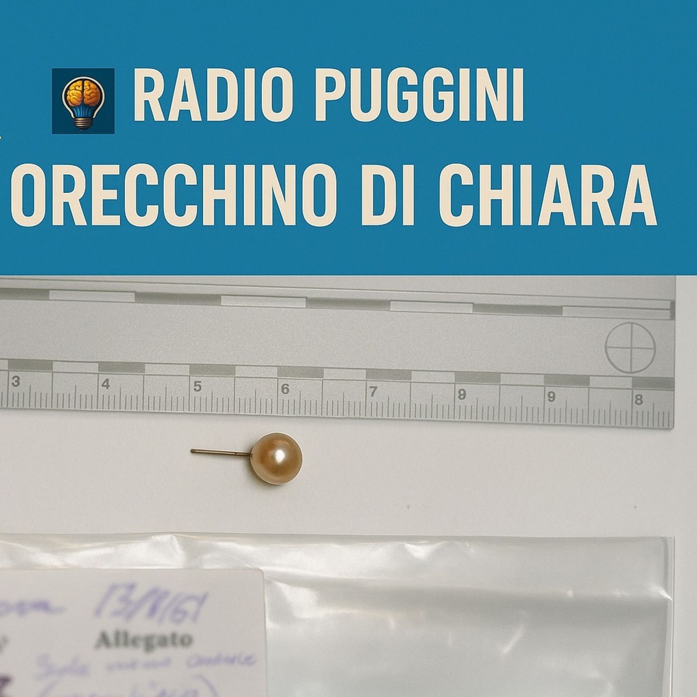 Garlasco - Orecchino di Chiara Poggi insanguinato sulla scena del crimine, mai analizzato! 30.05.2025 episode artwork
