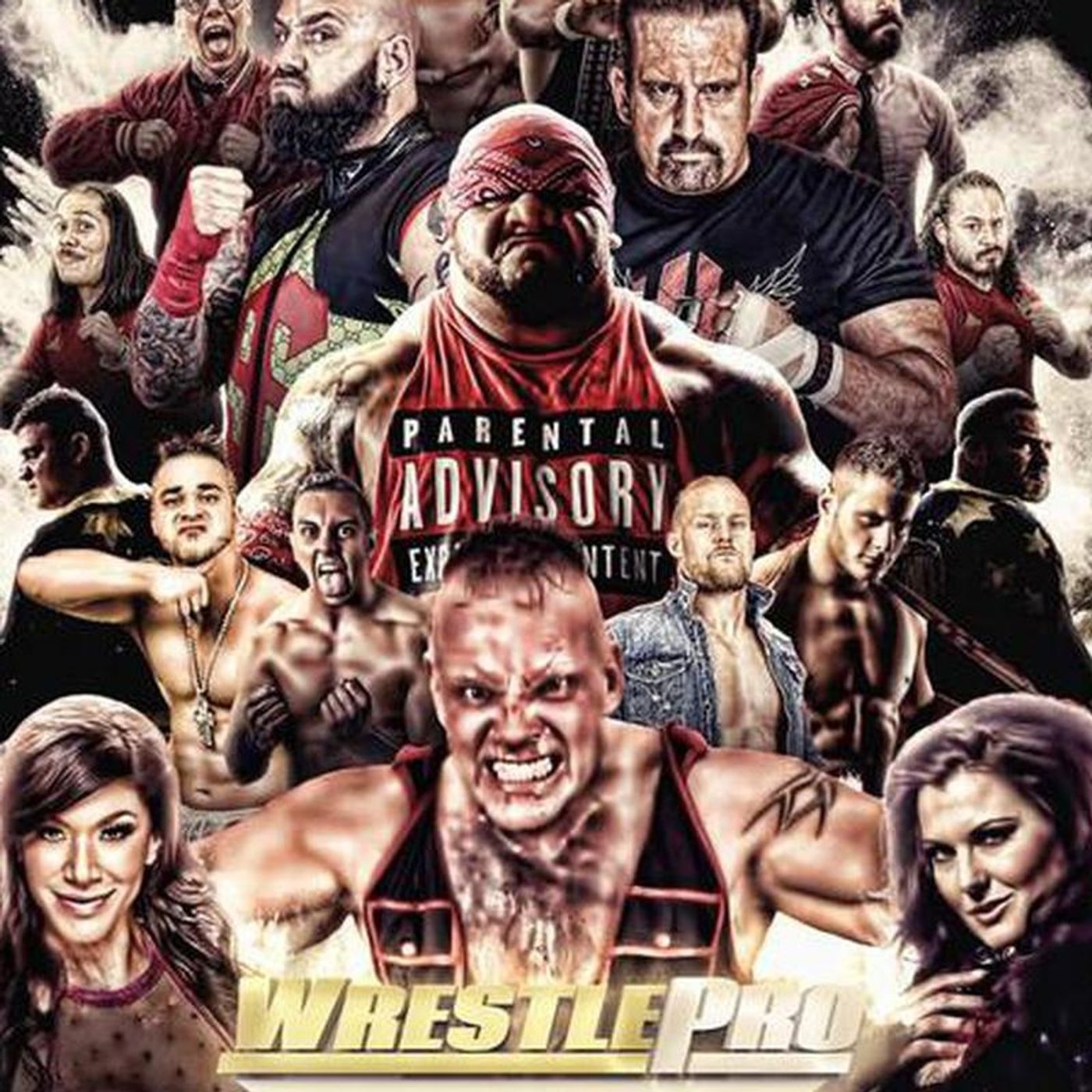 The Wrestling Enthusiast Podcast