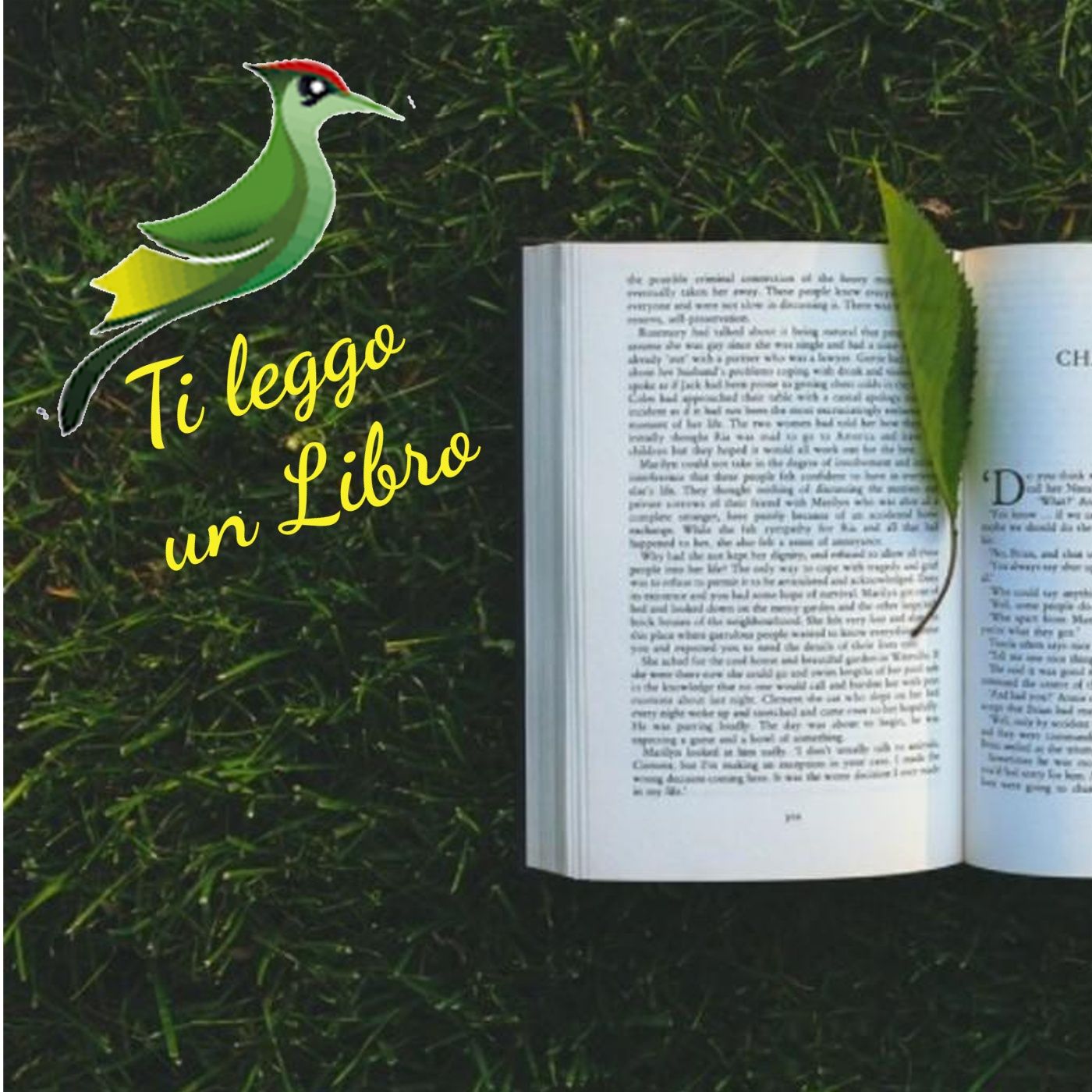 Ti leggo un libro