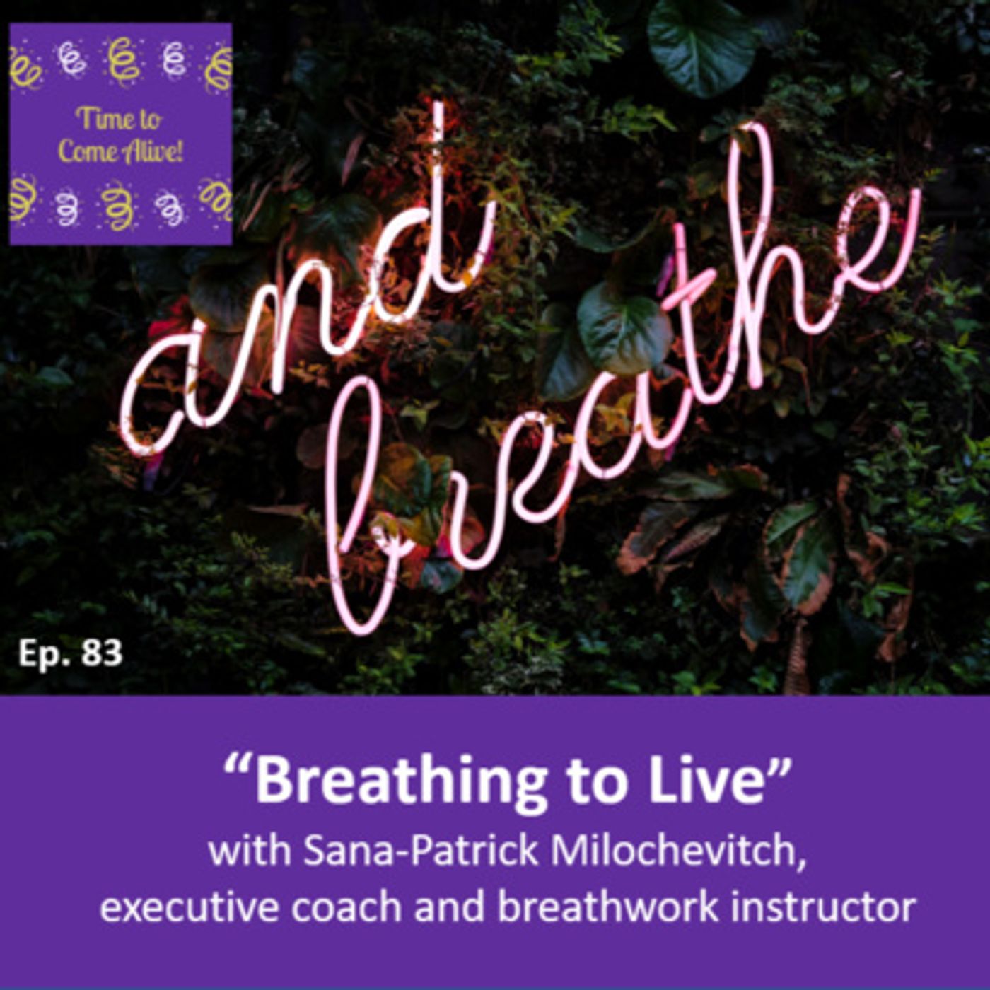 Connect to Joy Podcasts: Circle of Hope | Not Quite Strangers | Time to Come Alive
