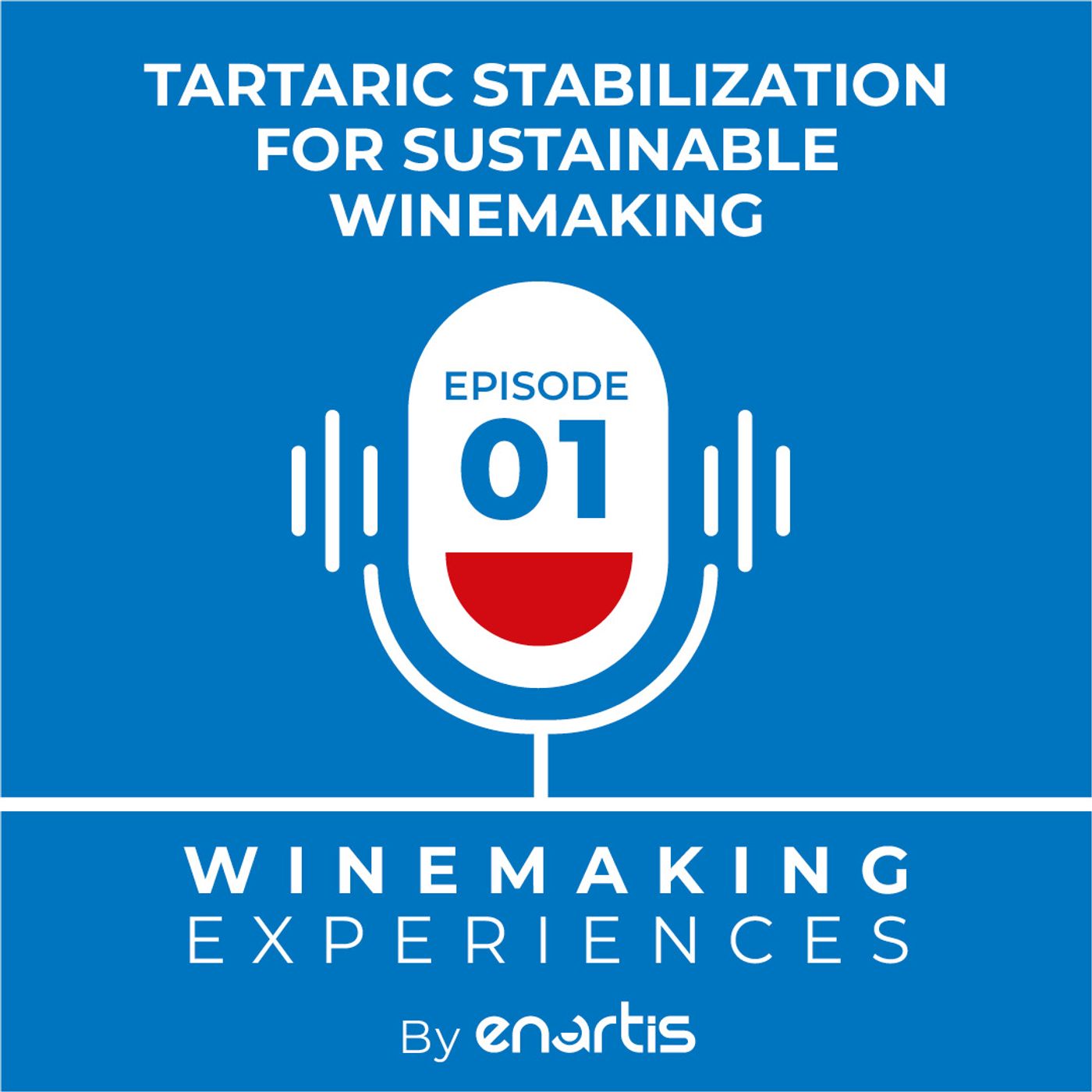 Winemaking Experiences by Enartis (English version)