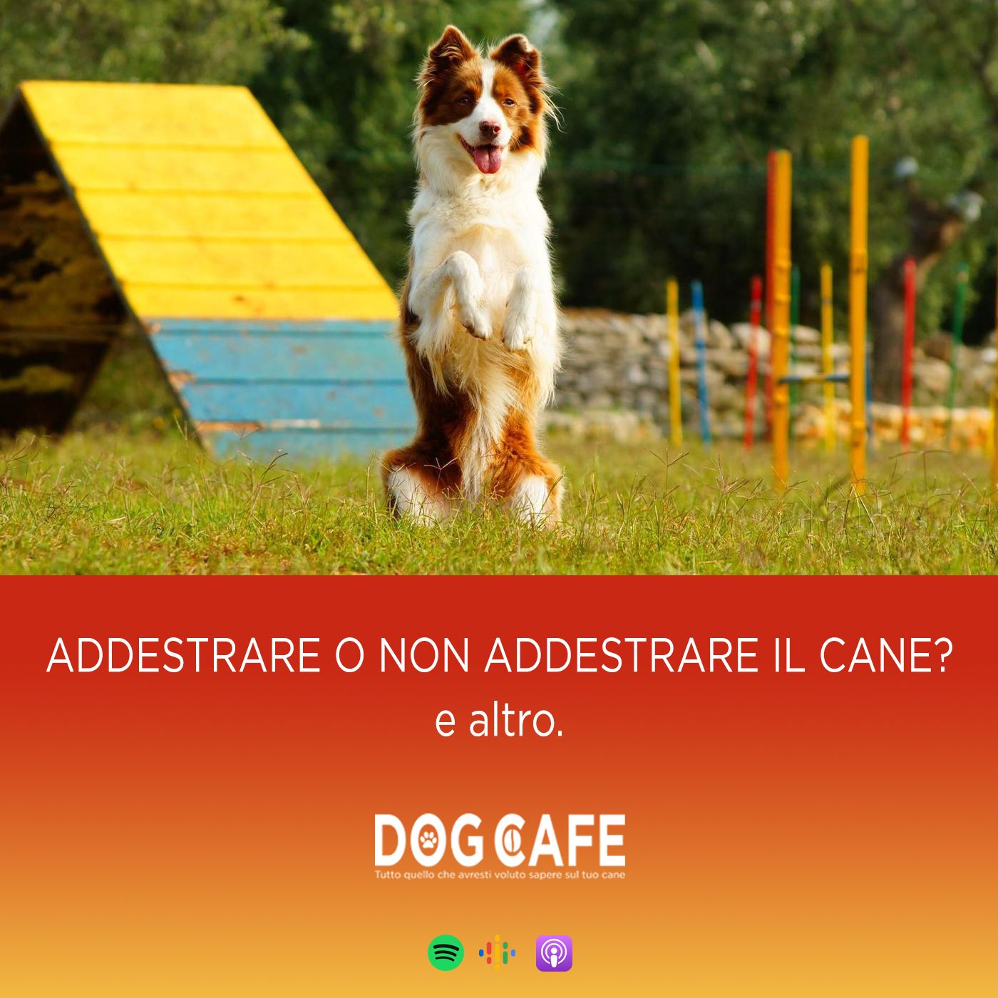 Dog Cafe Podcast