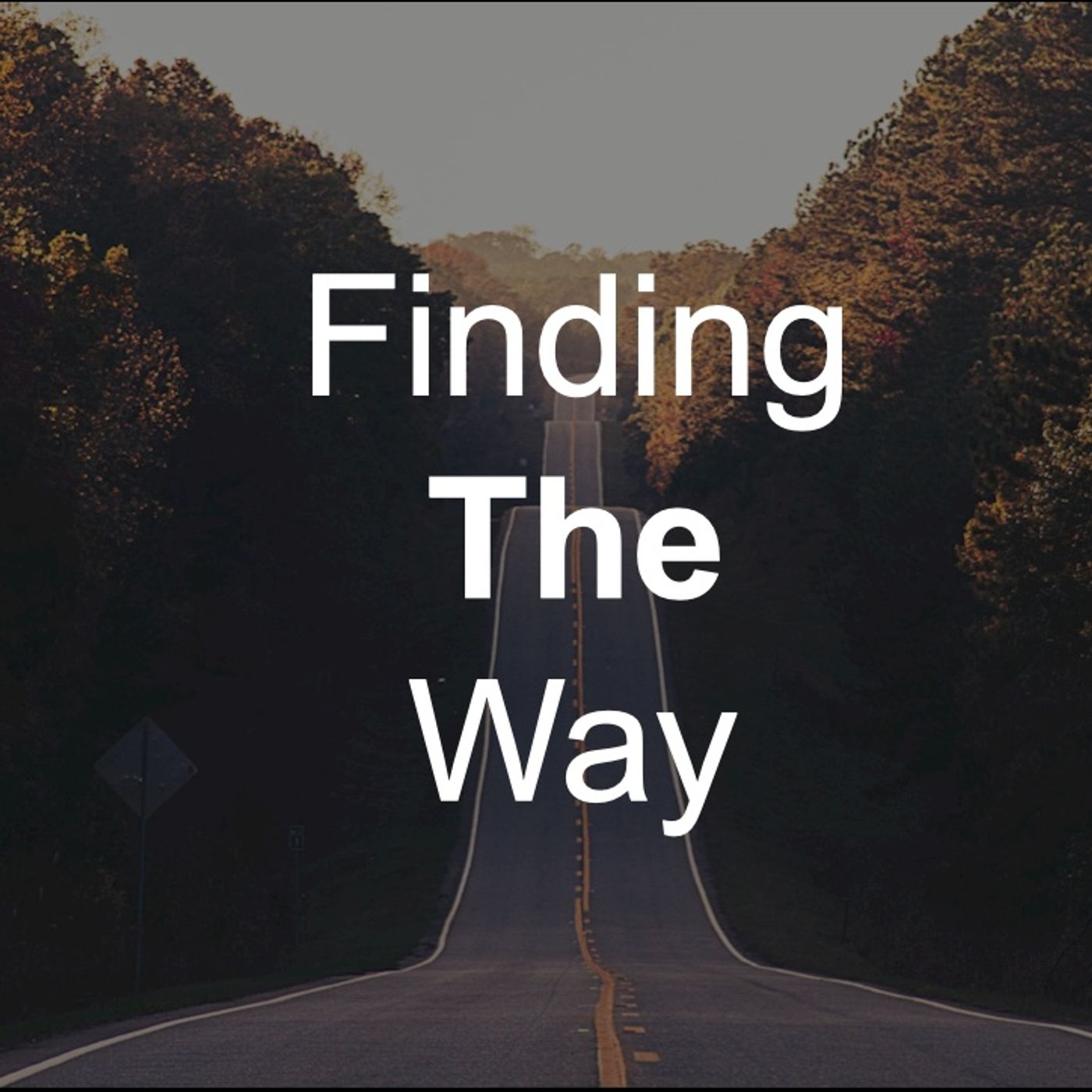 Finding The Way: Expectations (Lk 19:28-44) episode artwork