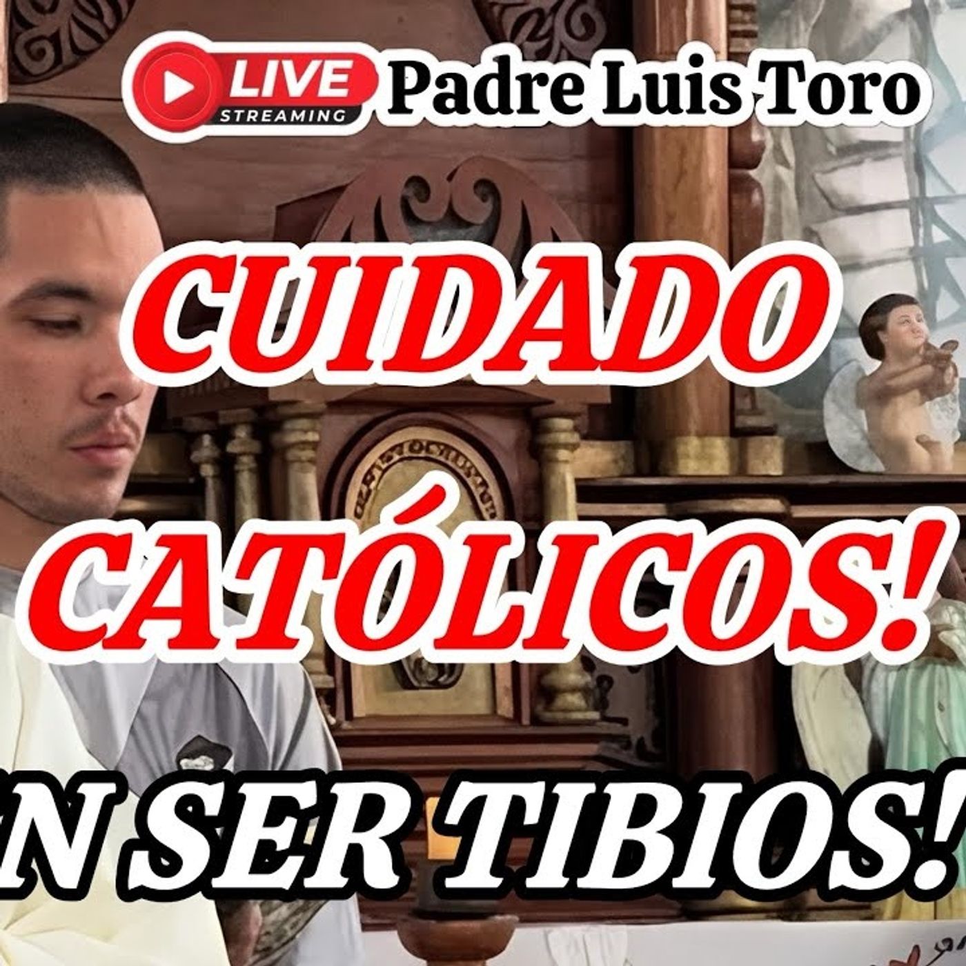 95-26_ _NO TODO EL QUE ME DICE SEÑOR SEÑOR Entrará en el REINO DE LOS CIELOS_Padre Luis Toro episode artwork