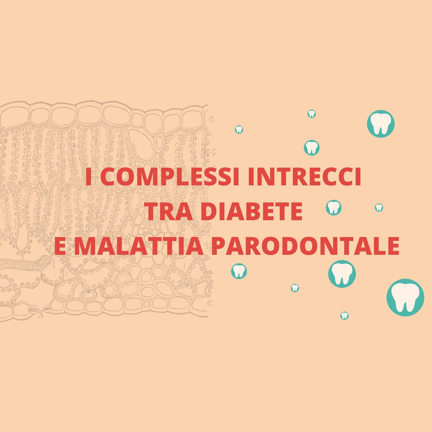 [Aggiornamento] I complessi intrecci tra diabete e malattia parodontale - Dott.ssa Elena Bizzotto