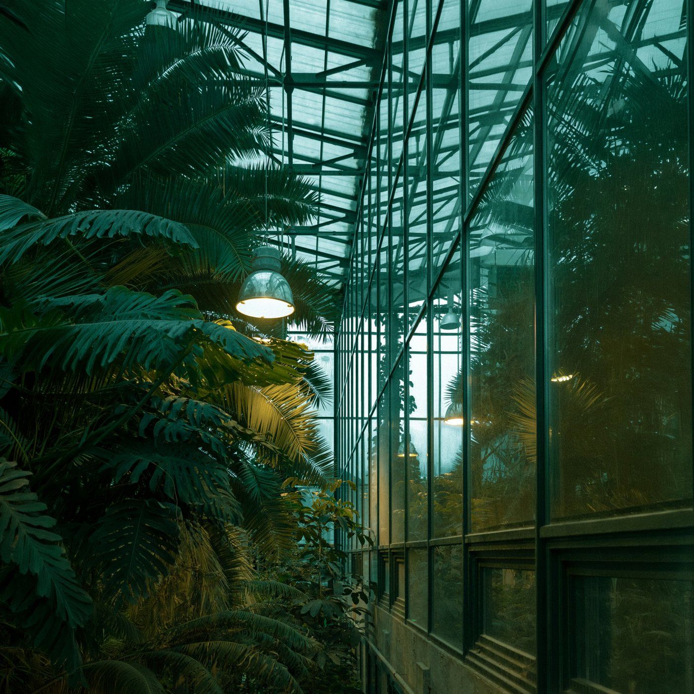 Greenhouse Rain - 10 Hours Sleep Sound episode artwork
