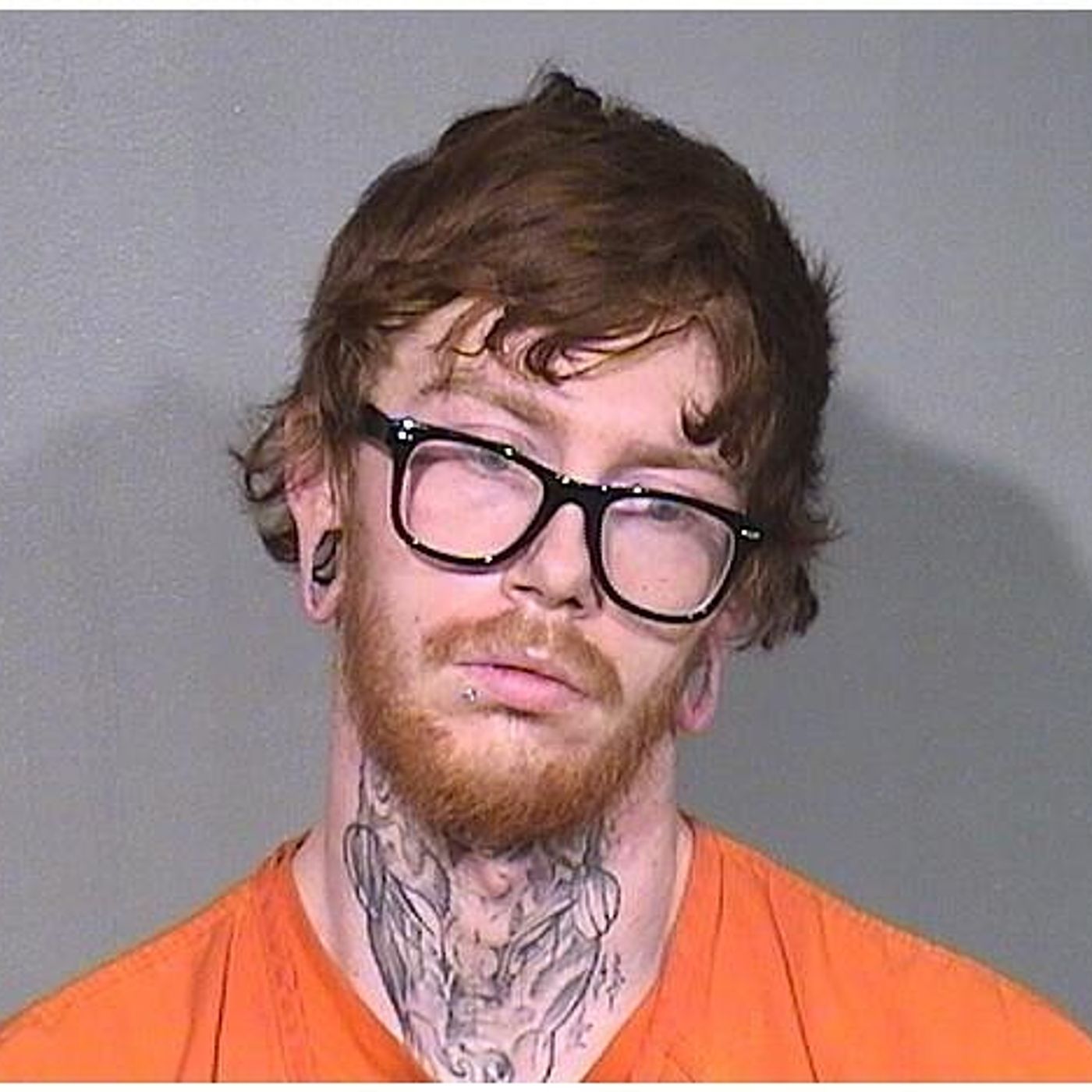 McHenry man accused of starving, neglecting dogs in his care episode artwork