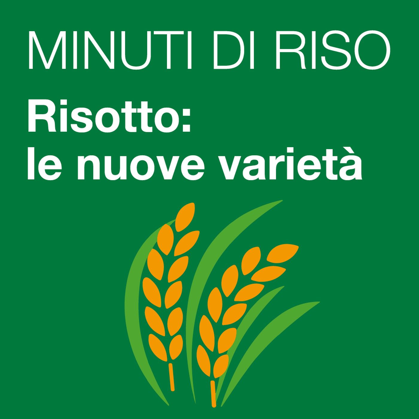 MINUTI DI RISO