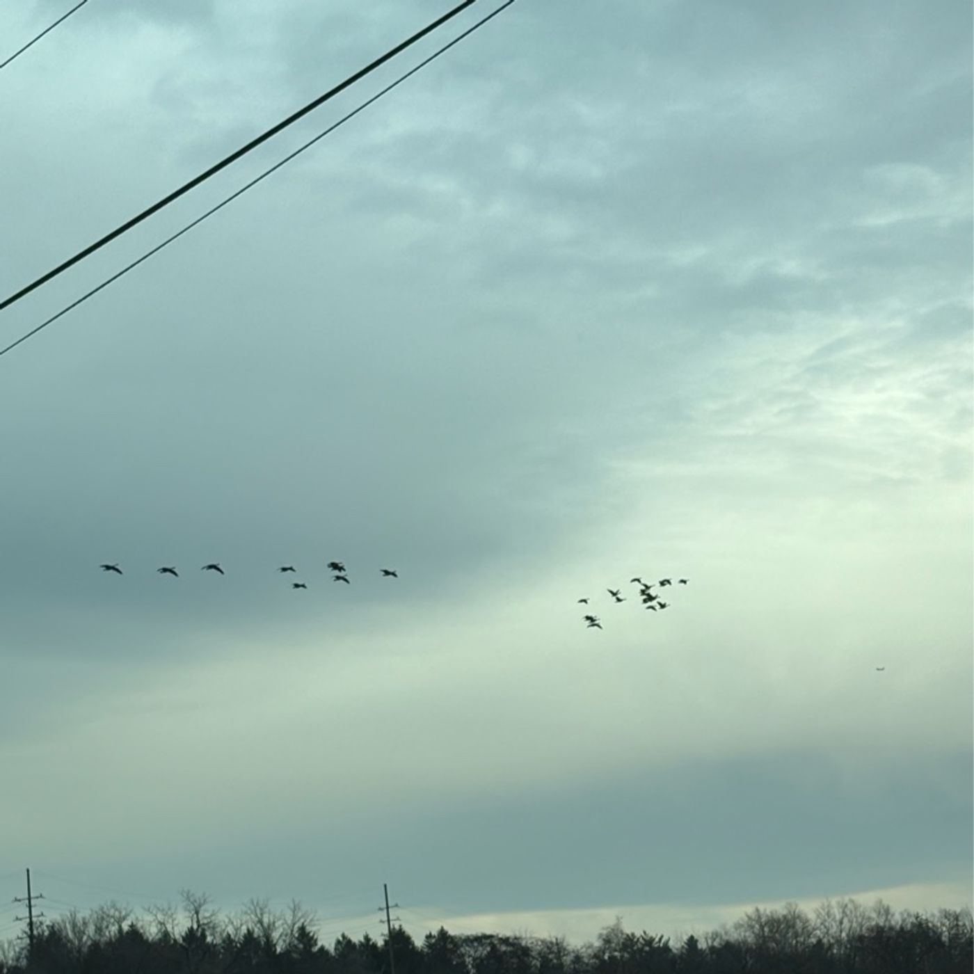 Episode 153 - Positivity Successor (Directions)