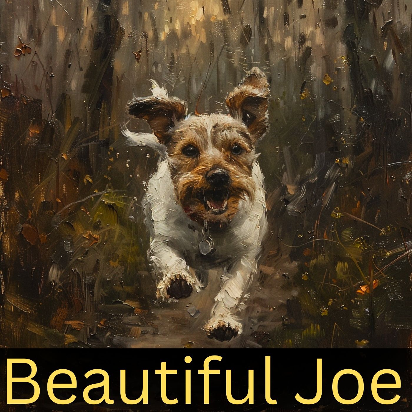 Beautiful Joe podcast artwork