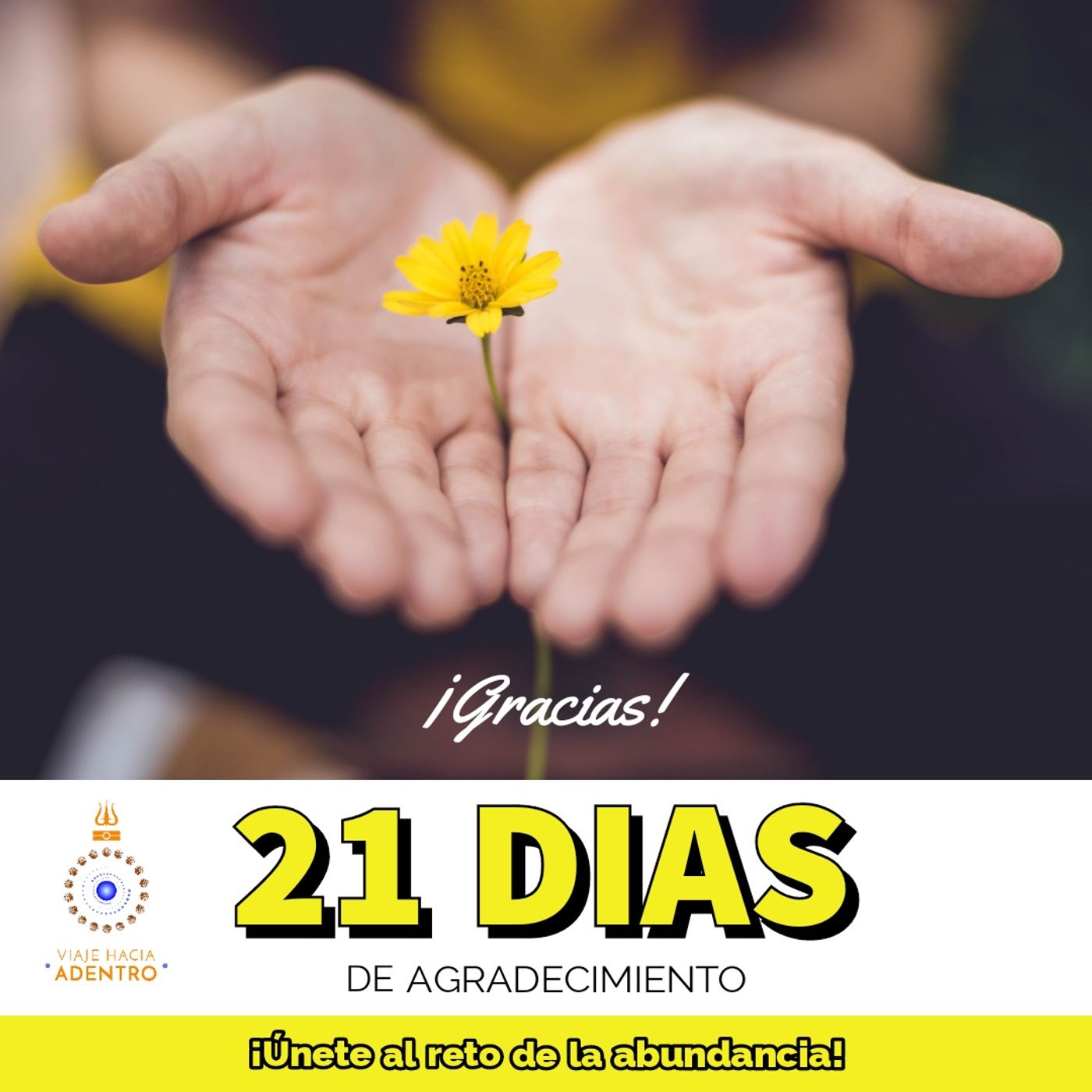 Reto: 21 días de Gratitud