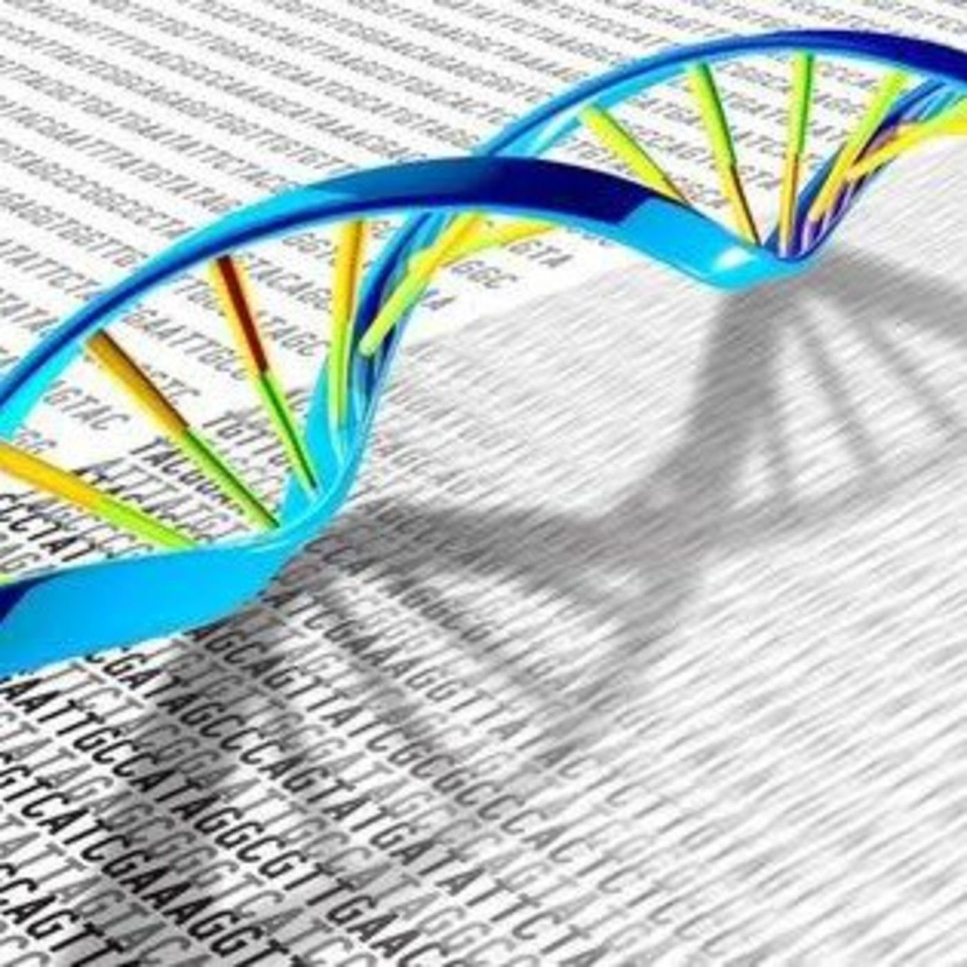 OPINANDO (ST R U N K )