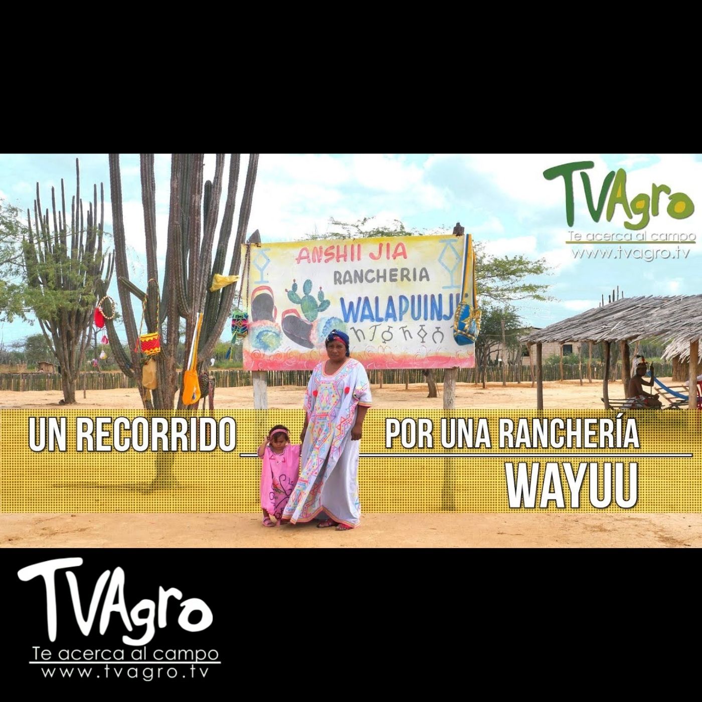 TV AGRO