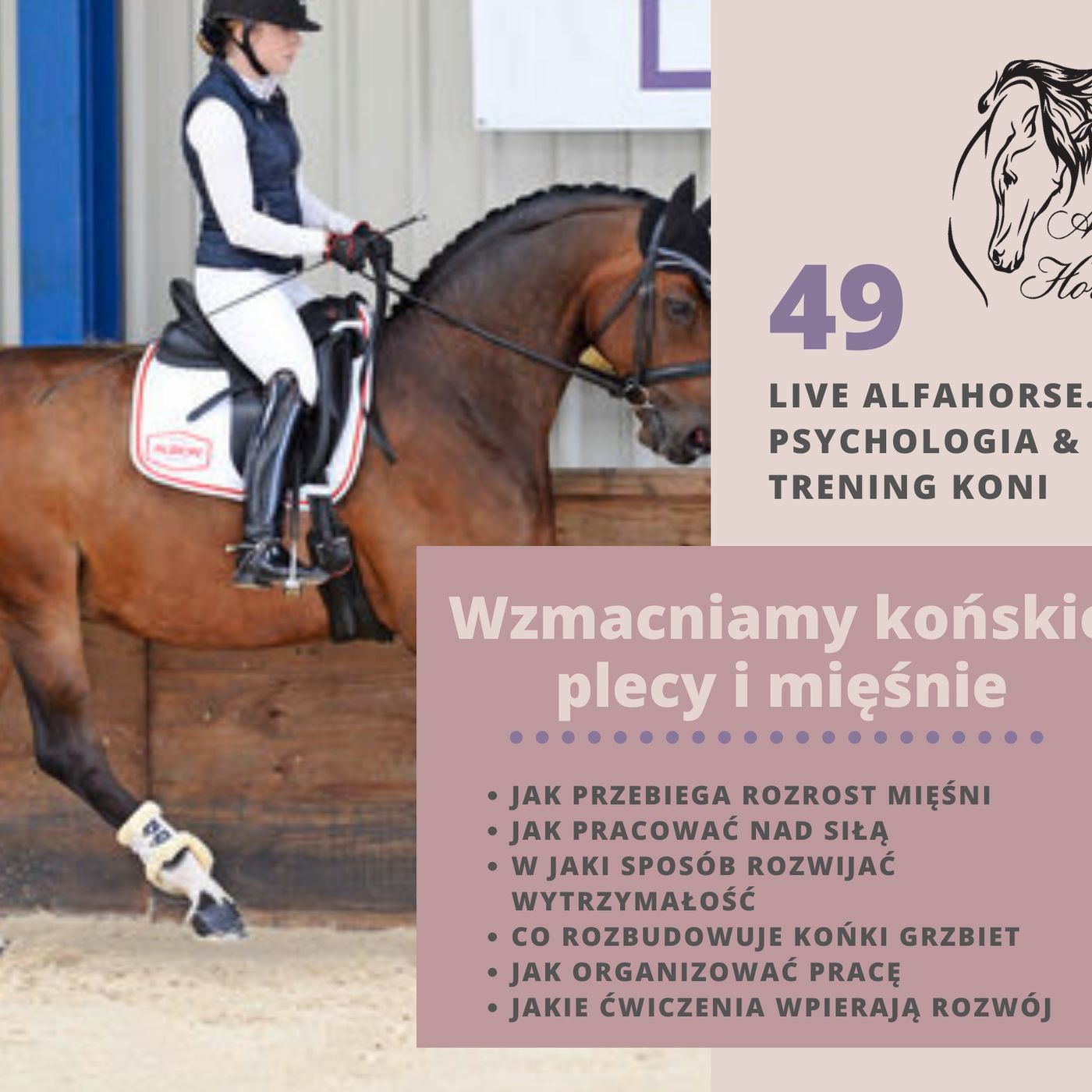 Live 49: Wzmacniamy końskie mięśnie i plecy episode artwork