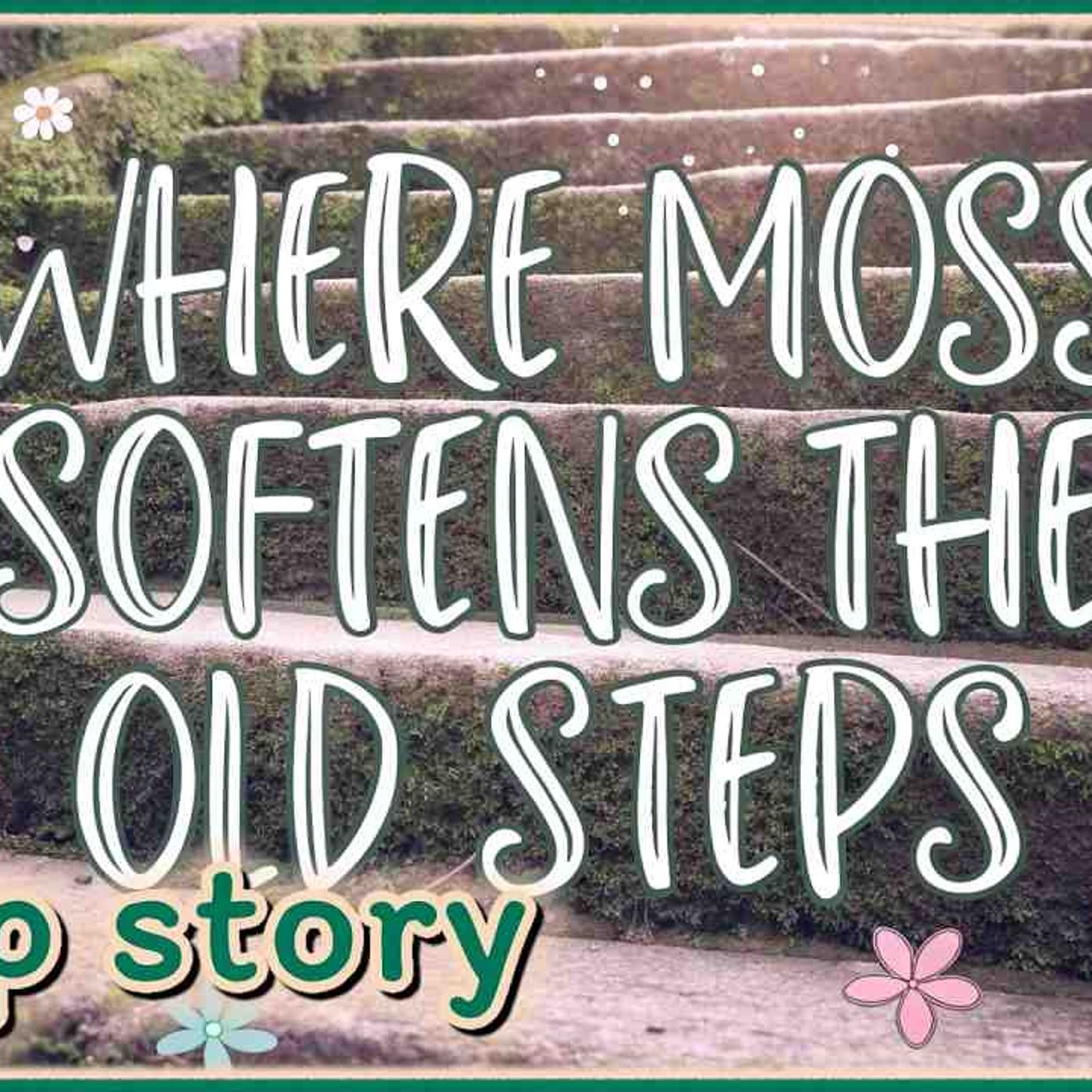 Artwork for Sleep Stories