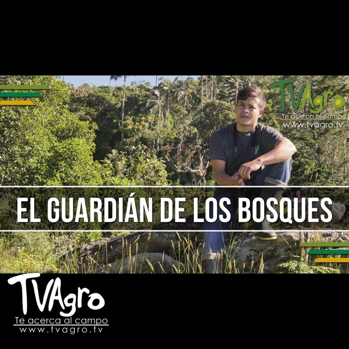 TV AGRO