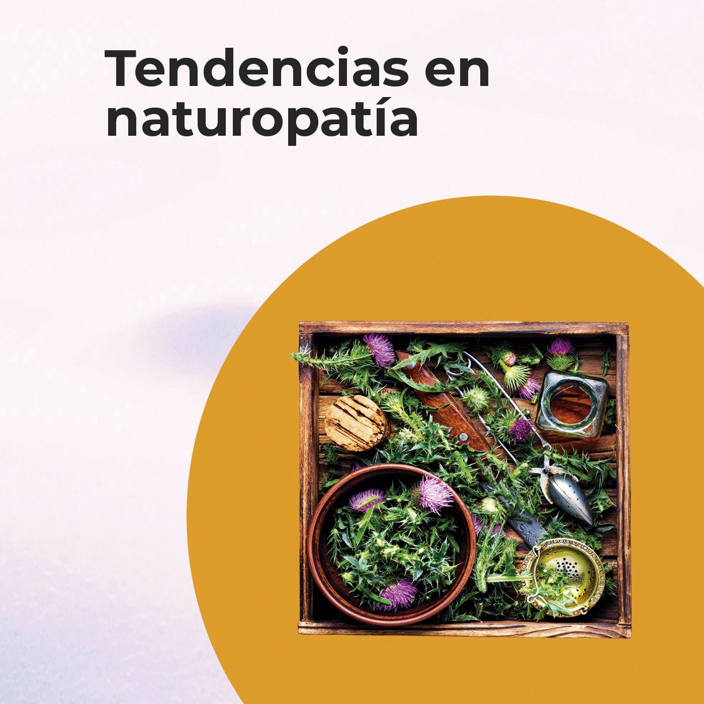 Tendencias en Naturopatía