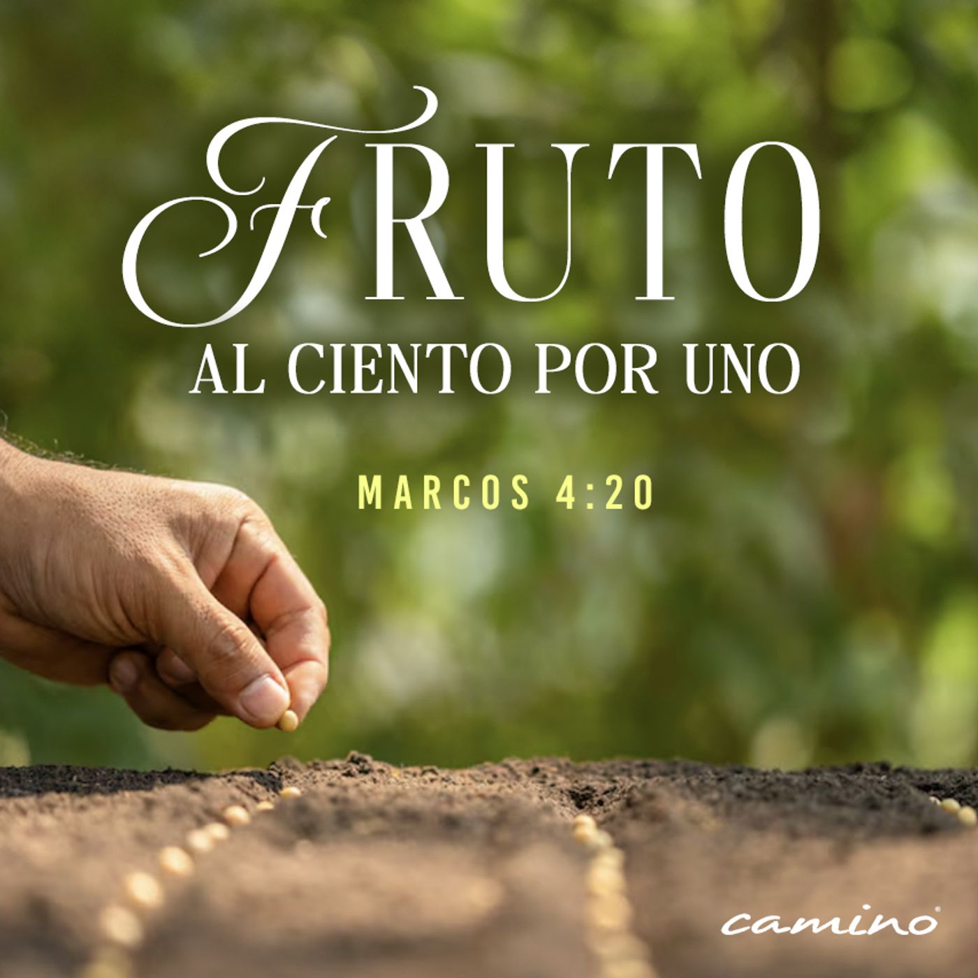 Oración 23 de mayo (Fruto al ciento por uno) episode artwork