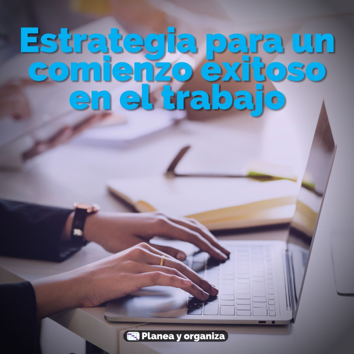 Planea y organiza
