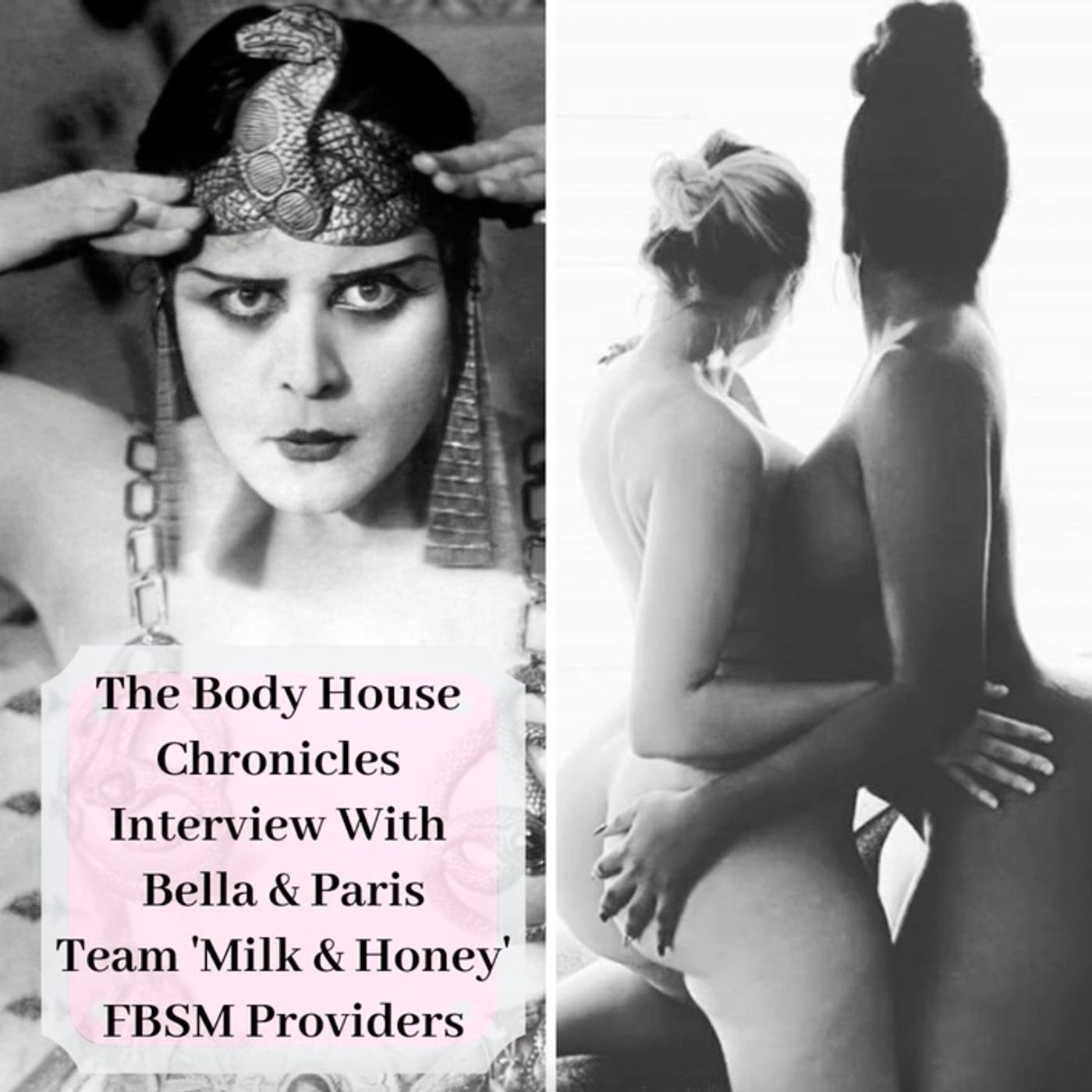 The Body House Chronicles