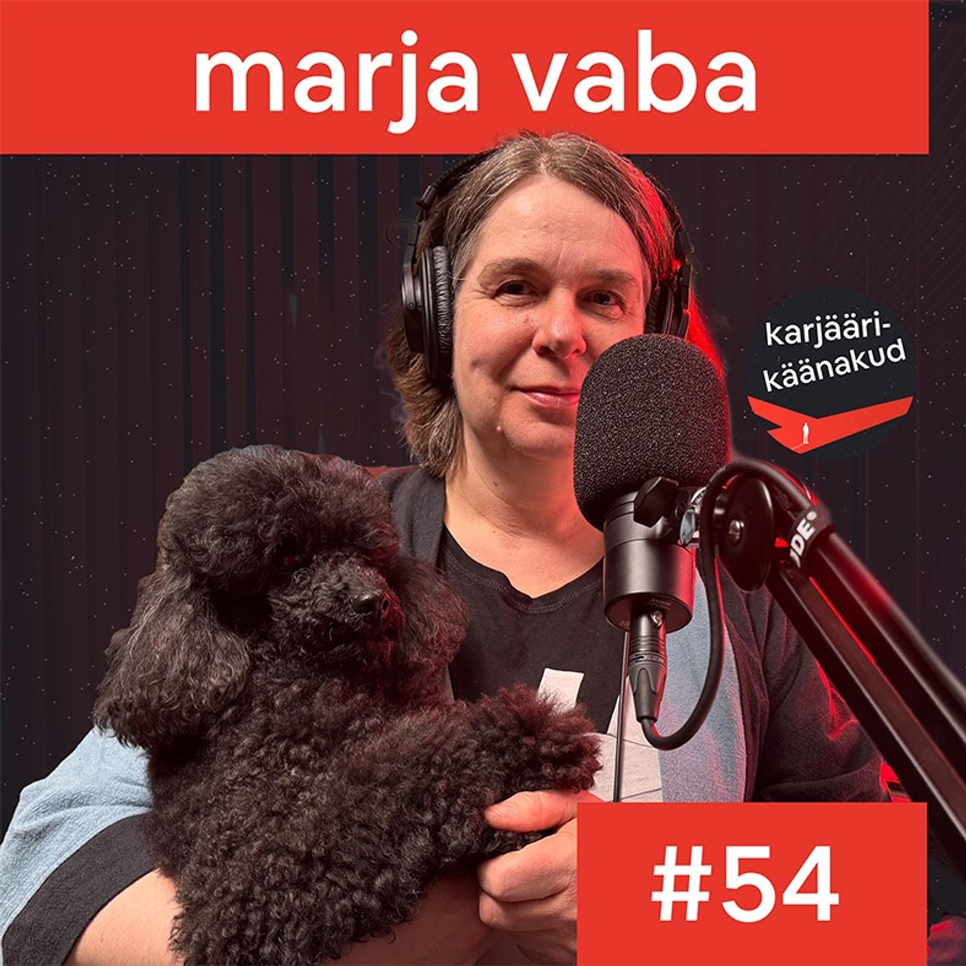 Karjäärikäänakud