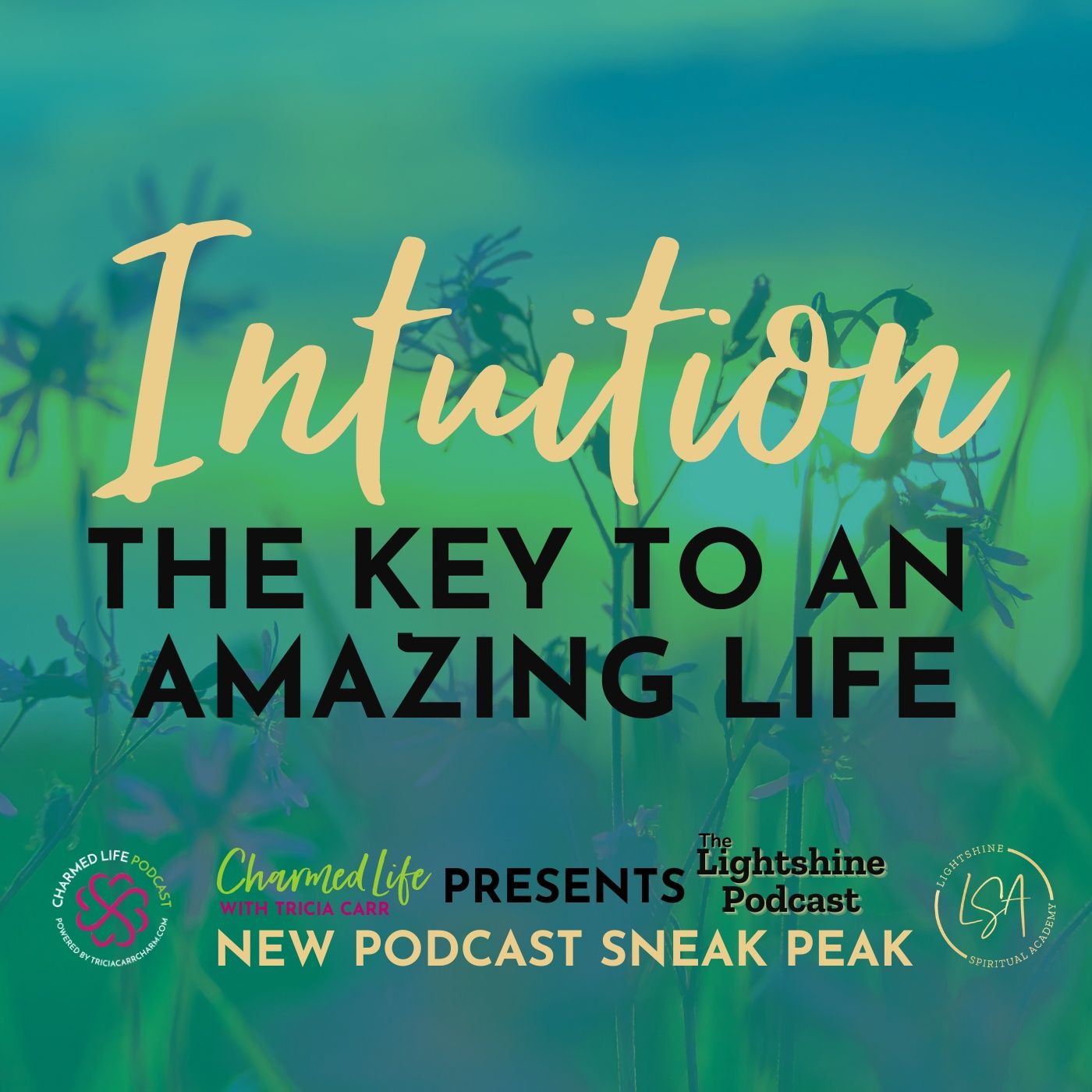 Charmed Life with Tricia Carr