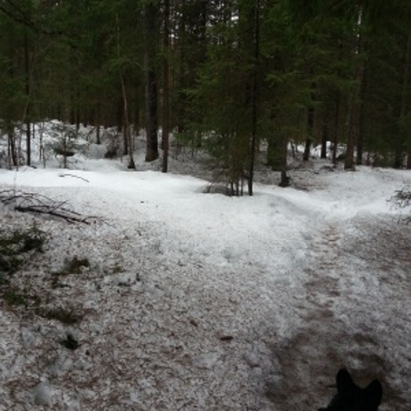 Ääniä