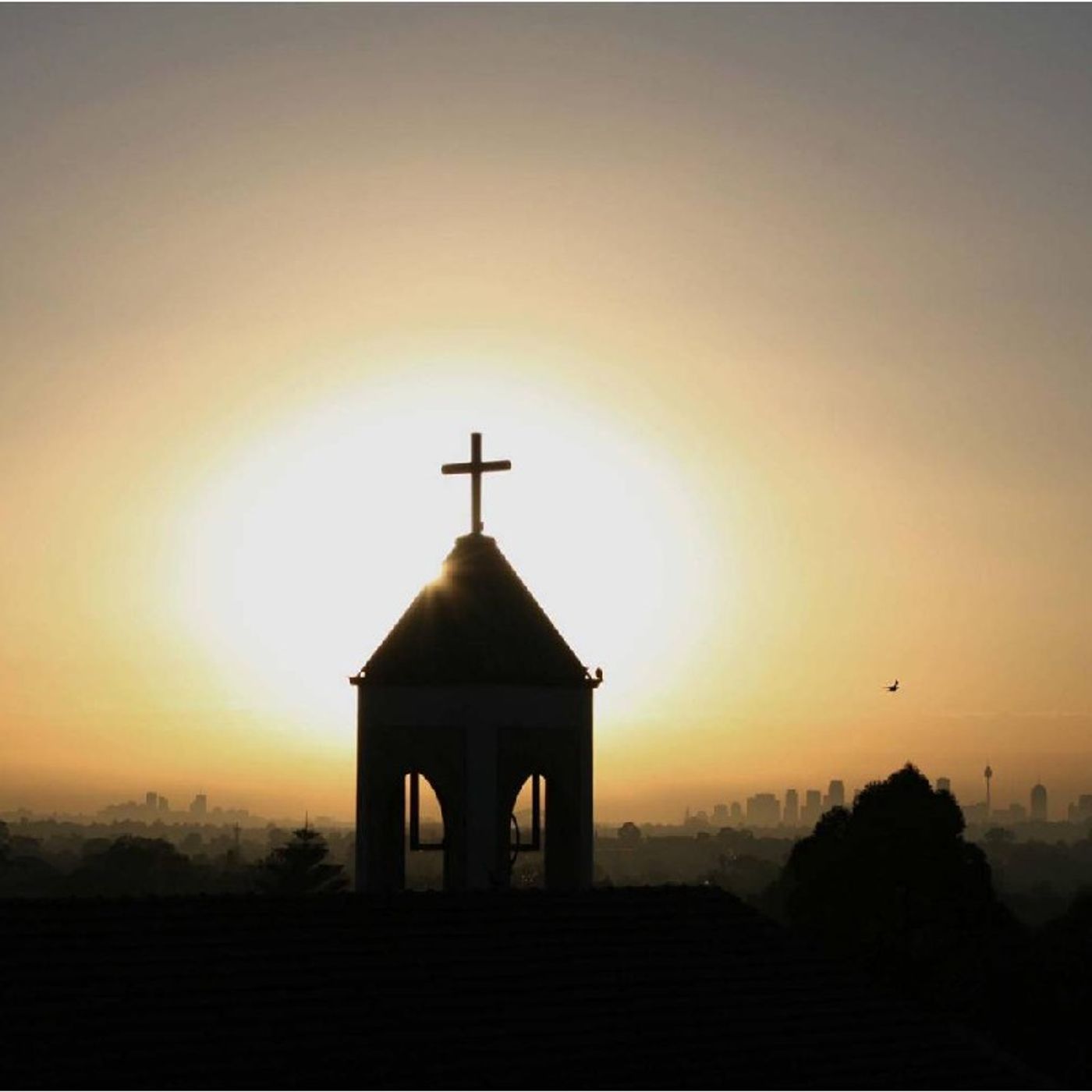 La Reflexión del Día "Sanación, Testimonio y Evangelización" episode artwork